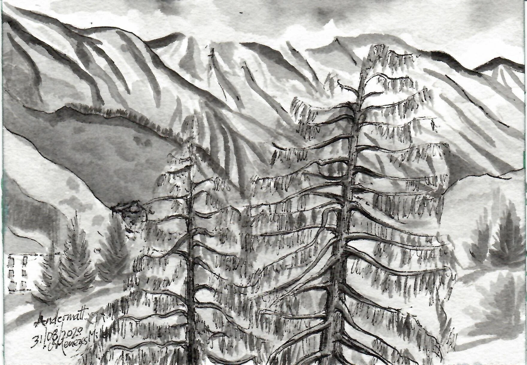 Andermatt greys (August 2020)