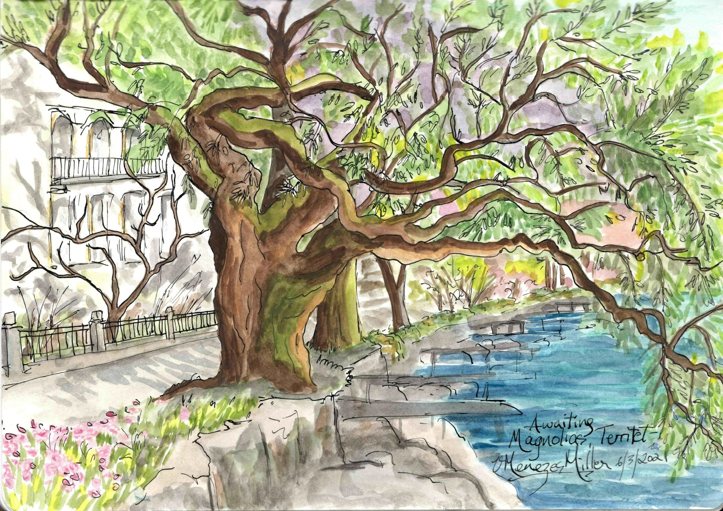 En attente des magnolias à Territet / 
Awaiting magnolias in Territet (2021)
(Aquarelles, plume et encre/Watercolors, pen and ink)
