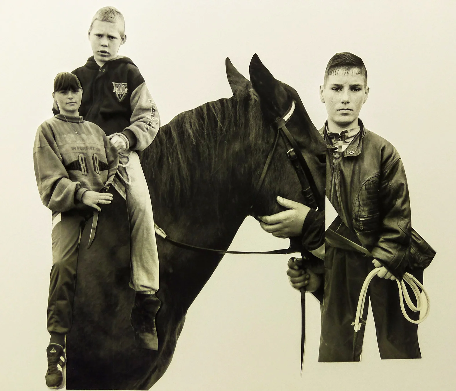 The horse