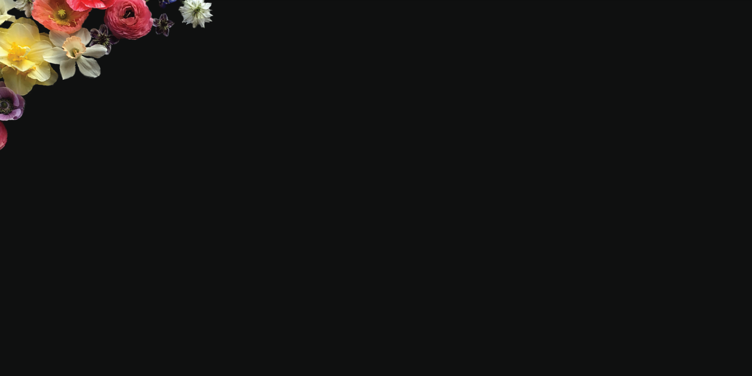 for the stay in the bloom section@3x.png