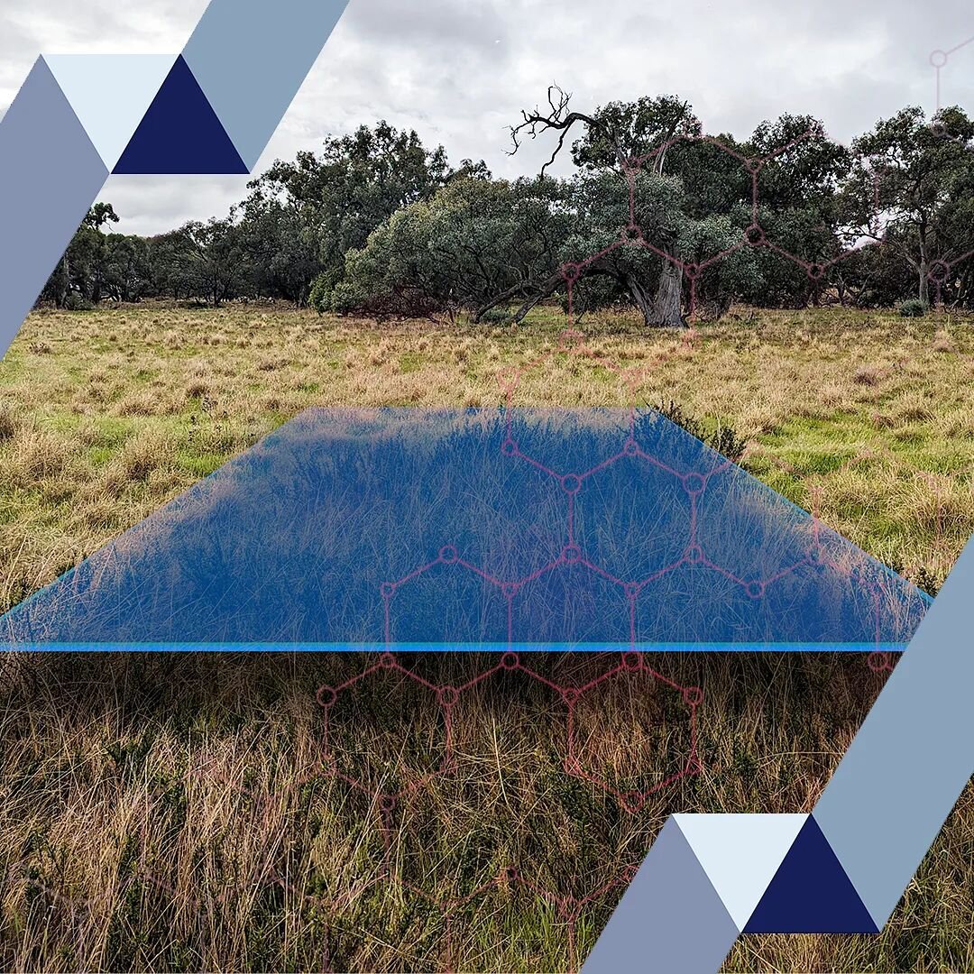 No one wants ecological monitoring markers all over their site. They damage the aesthetic of nature, attract vandalism can potentially influence results. TerraLab utilise the latest technology to monitor sites without a trace. 

Low impact
No bias
In