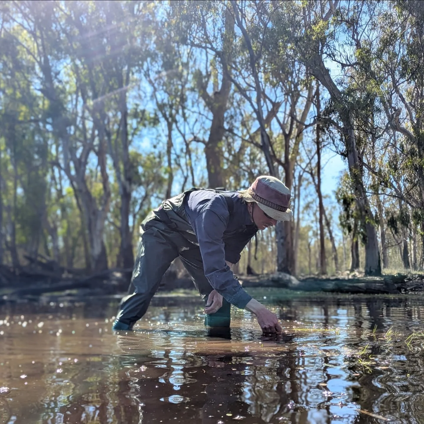 At TerraLab, objectivity sits at the core of everything we do.

In GIS, it&rsquo;s (mostly) straightforward:
Inputs &rarr; computer goes brrrr &rarr; outputs.

In ecology and environmental fieldwork, it gets messy (literally and figuratively).

Veget