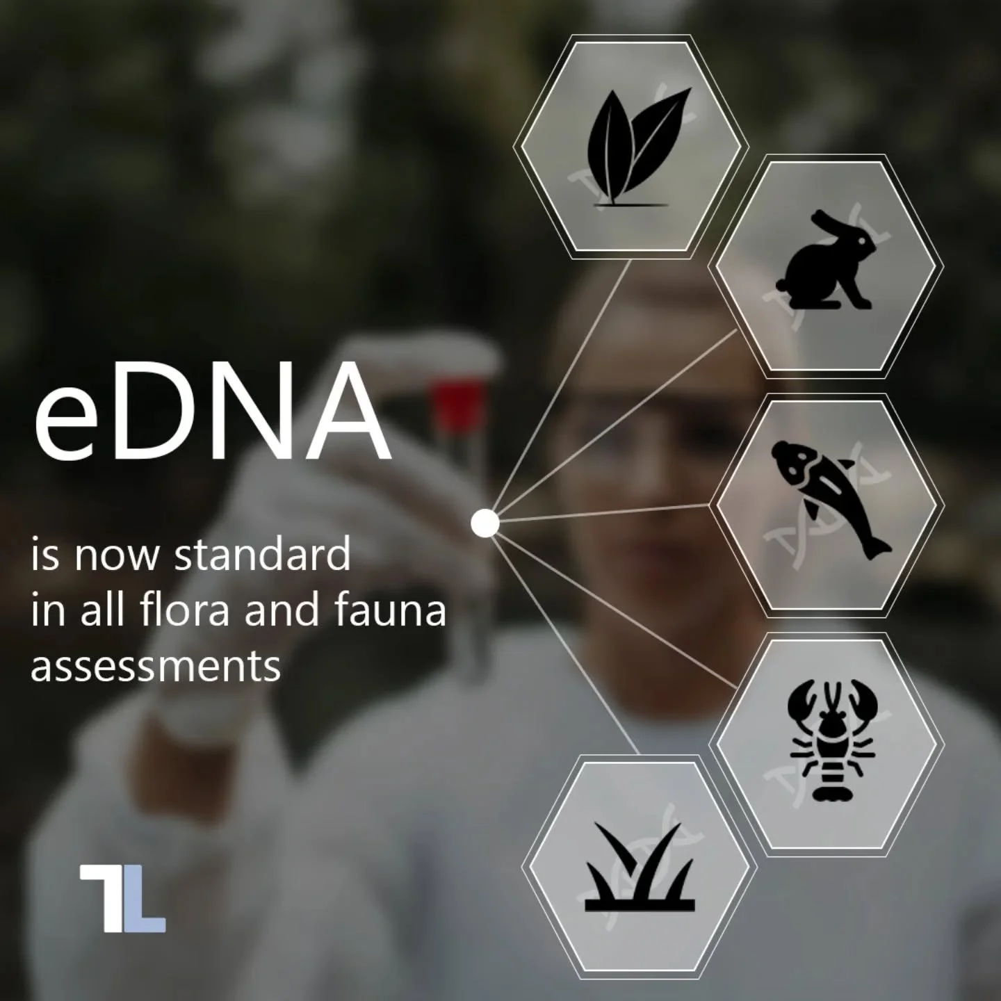 🧬 Now offering eDNA sampling as part of our ecological services.

At TerraLab, we&rsquo;re committed to delivering ecological data that is objective, reliable and transparent. That means embracing proven technologies that improve the way we work.

?