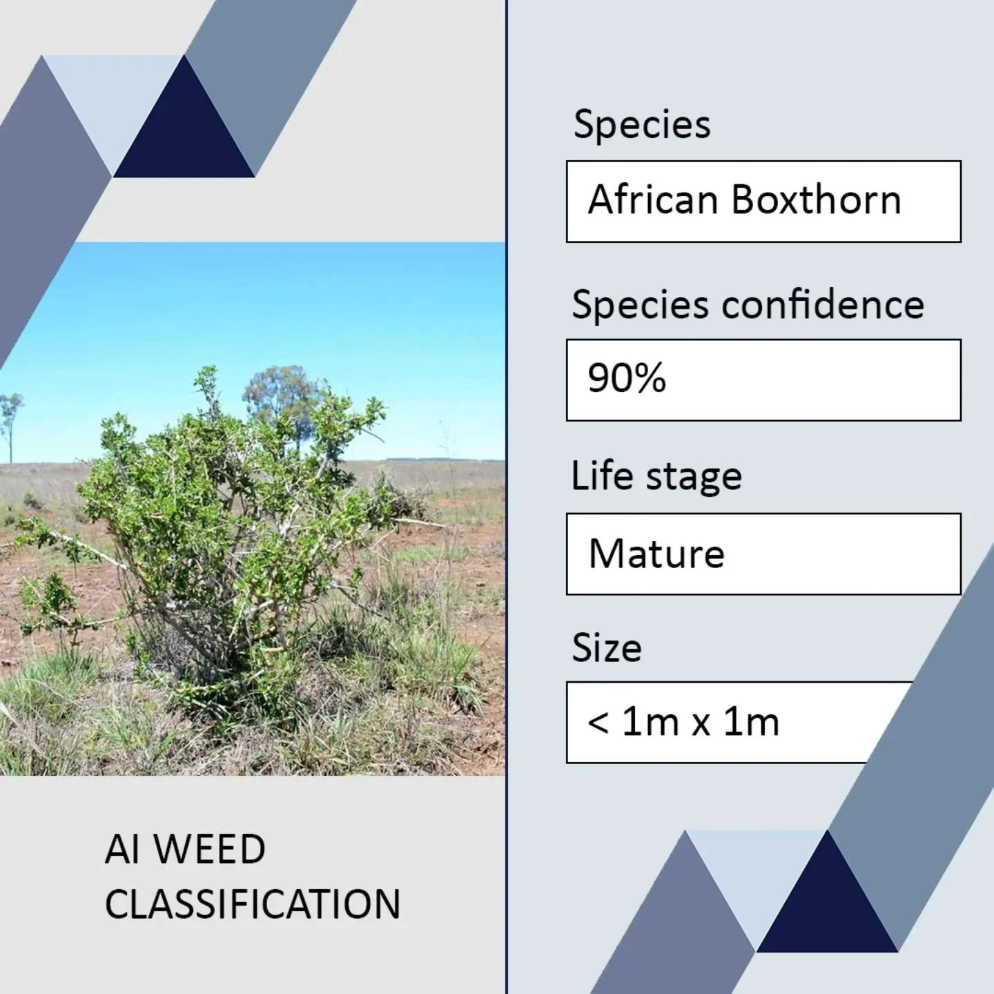 Work faster |  Simplify data collection |  Unlock new efficiency in the field
 
We&rsquo;re looking for partners to help shape a new generation of AI-assisted field data collection workflows where a single photo becomes a rich, structured dataset wit
