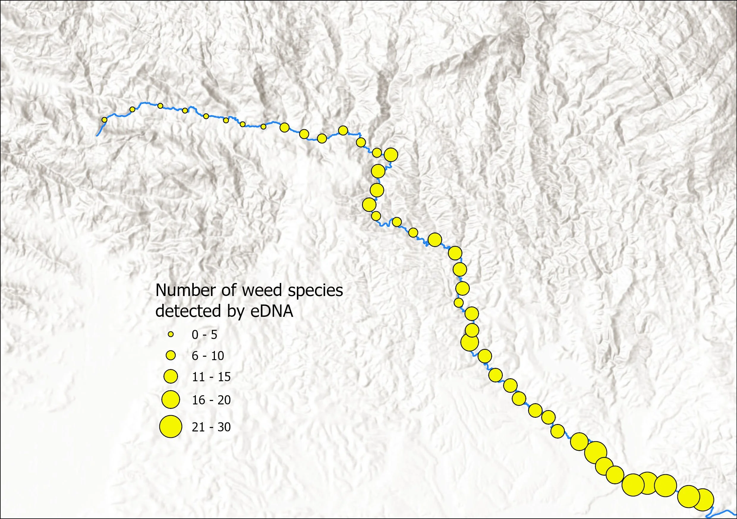 Using eDNA to understand weed distribution