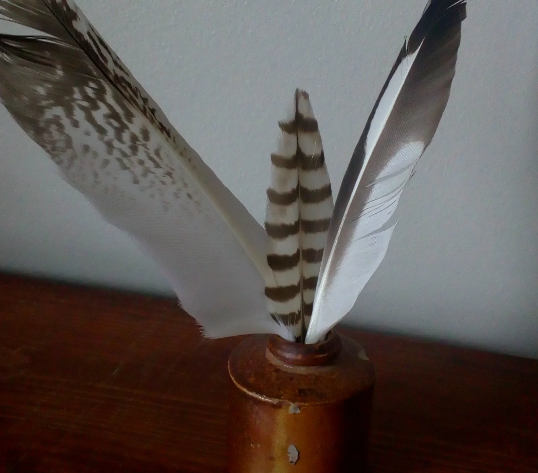 IMG_20171013_132810 - Version 2.jpg