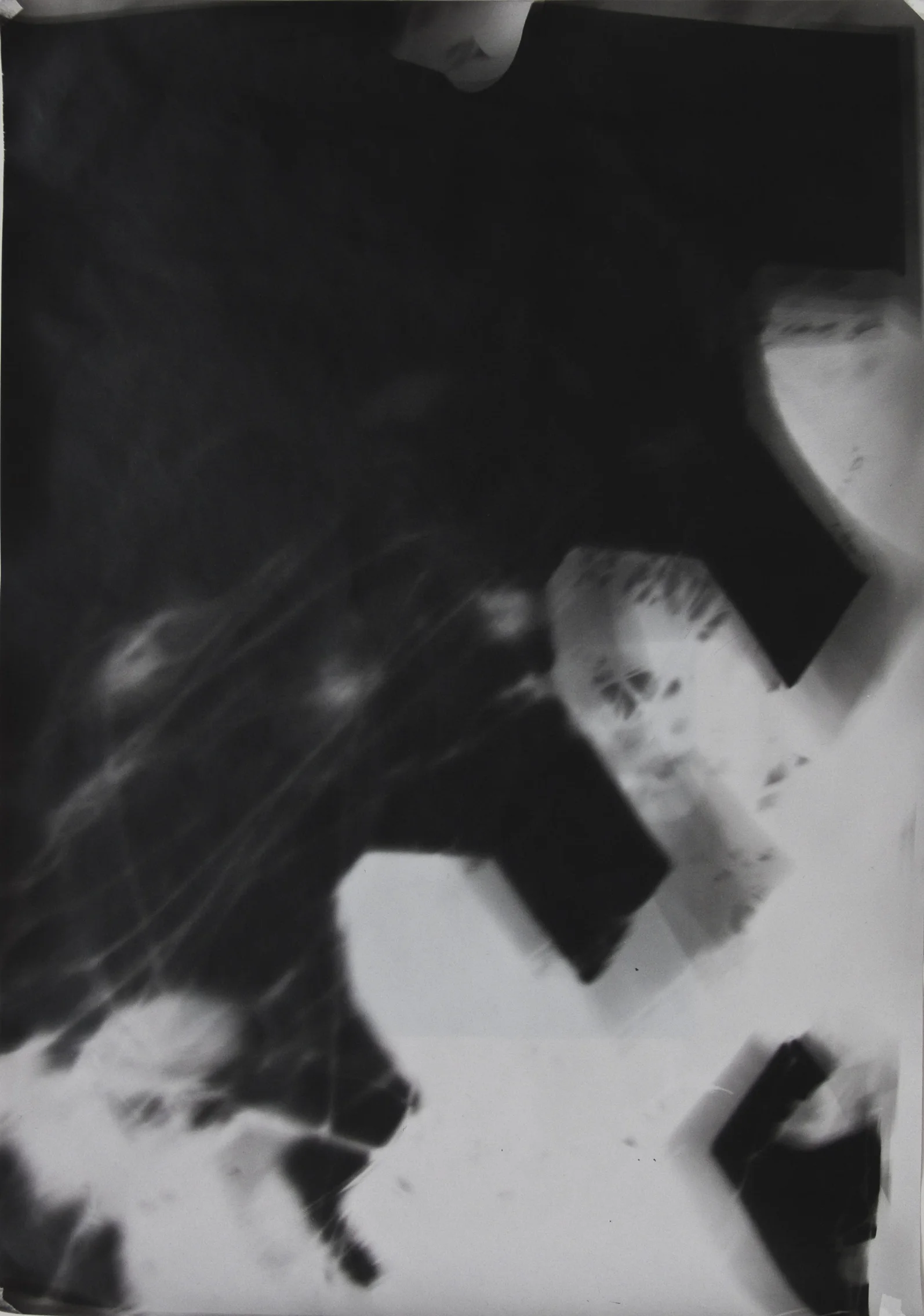 Gartenzaun, Fotogramm auf Dokumentenpapier