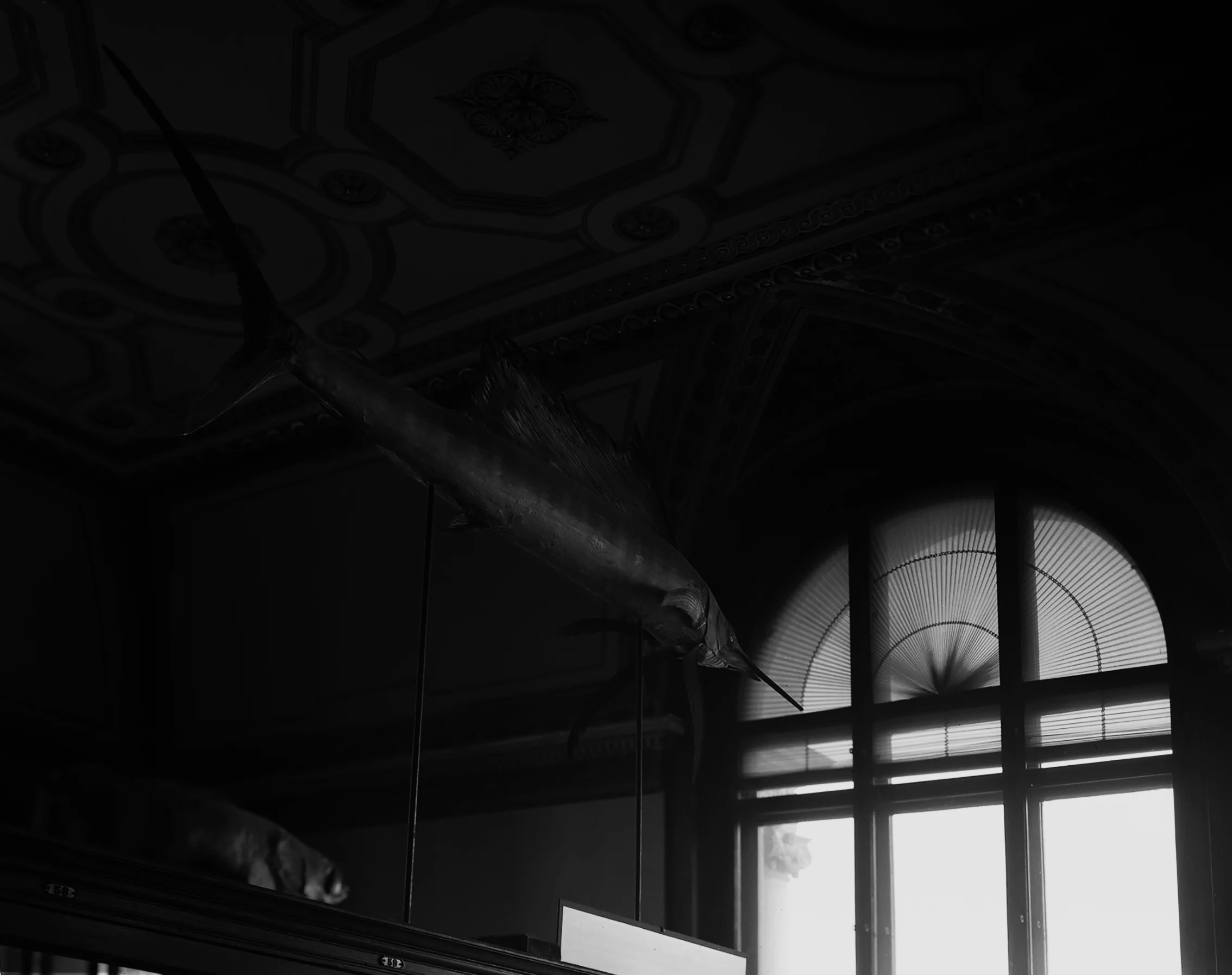 005.jpg