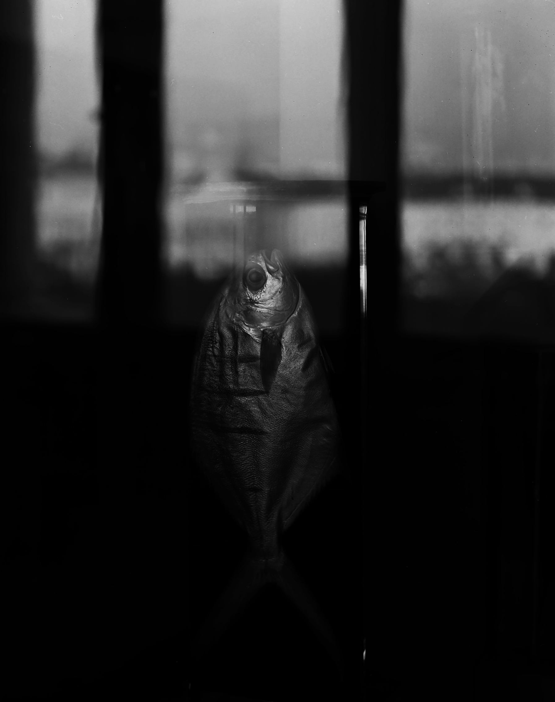 014.jpg