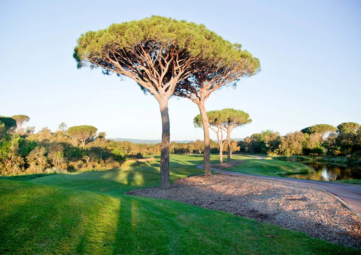 golf4.jpg