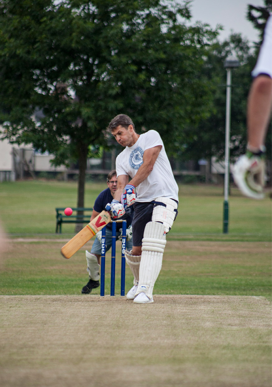 Cricket4.jpg