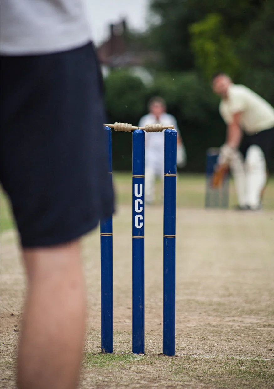 Cricket7.jpg