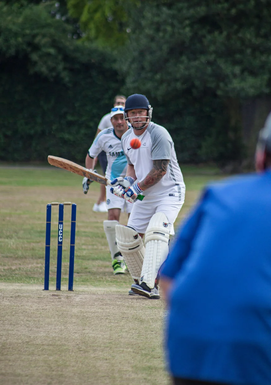 Cricket9.jpg