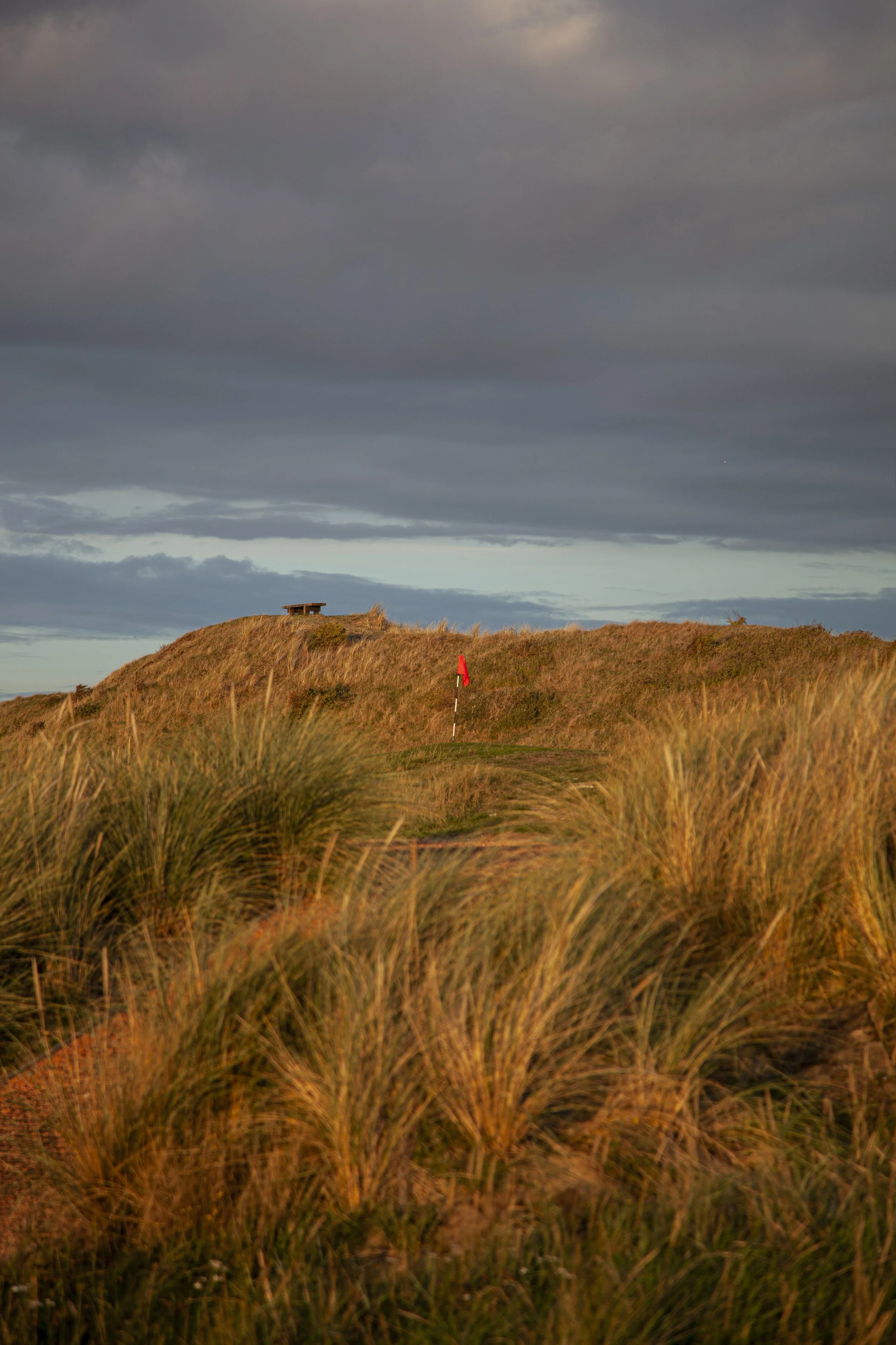 The_Cult_of_Golf_Huntstanton_0922_28.jpg