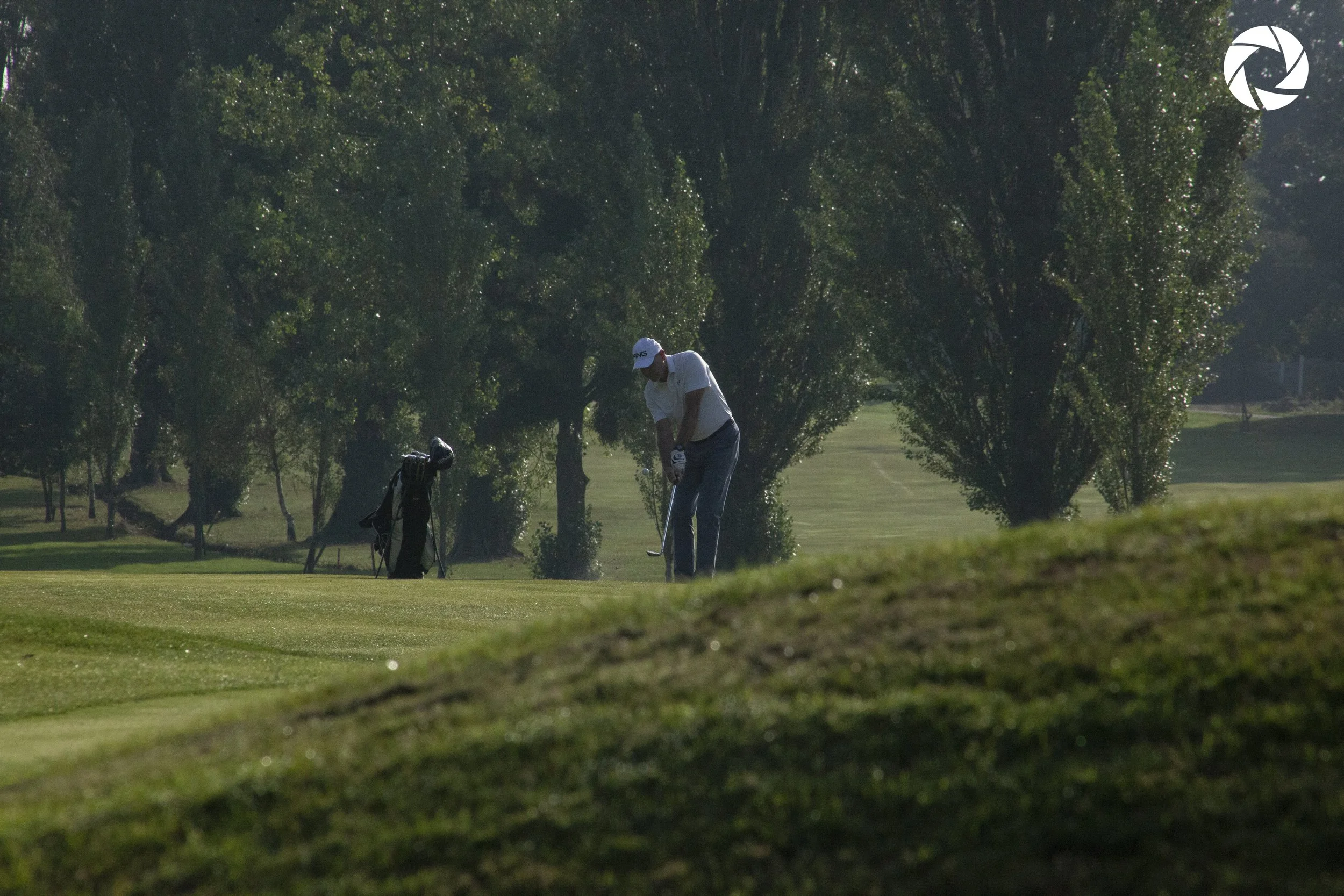 IMG_1068 copy.jpg
