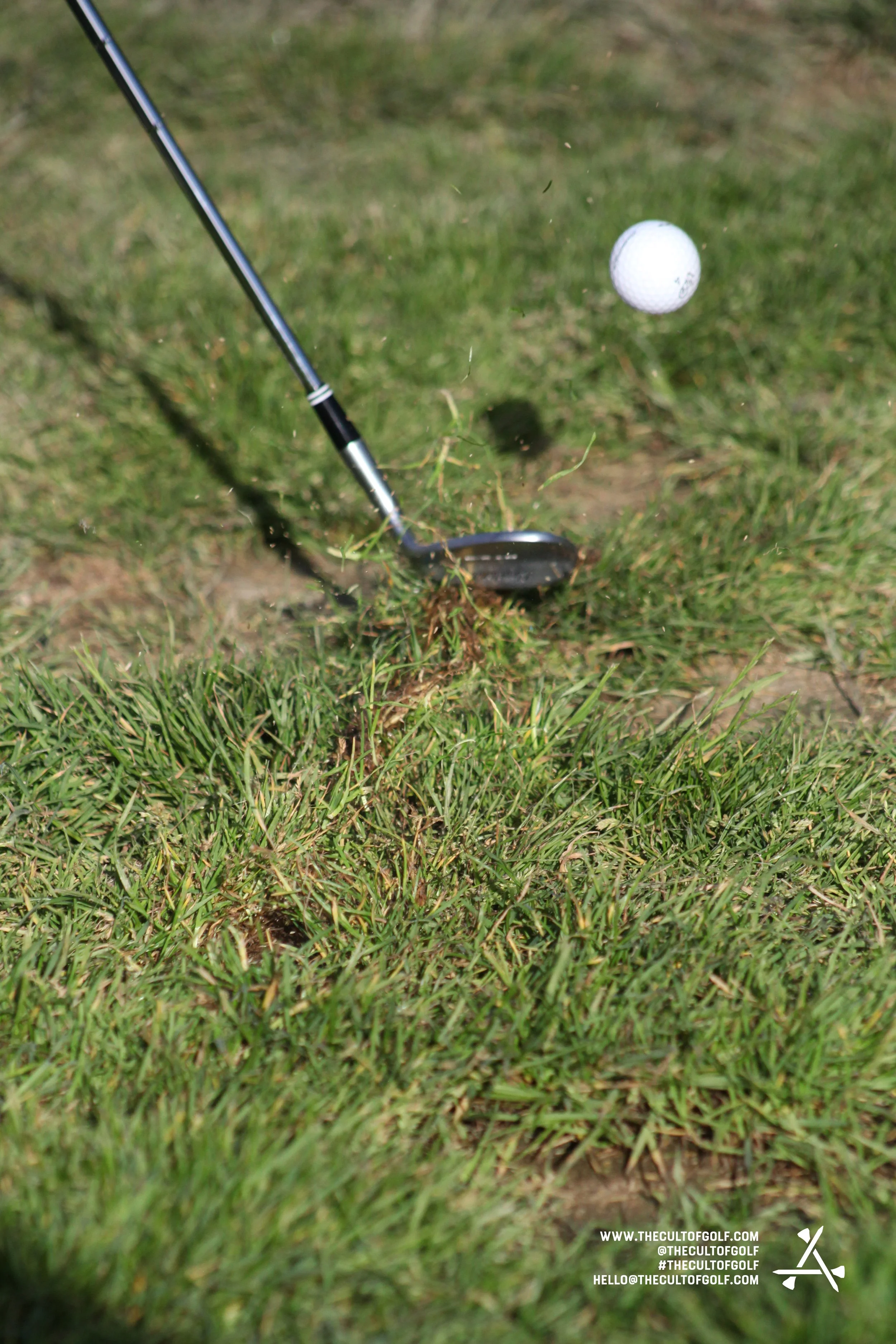 The_Cult_of_Golf_RGC_The_Shire75.jpg