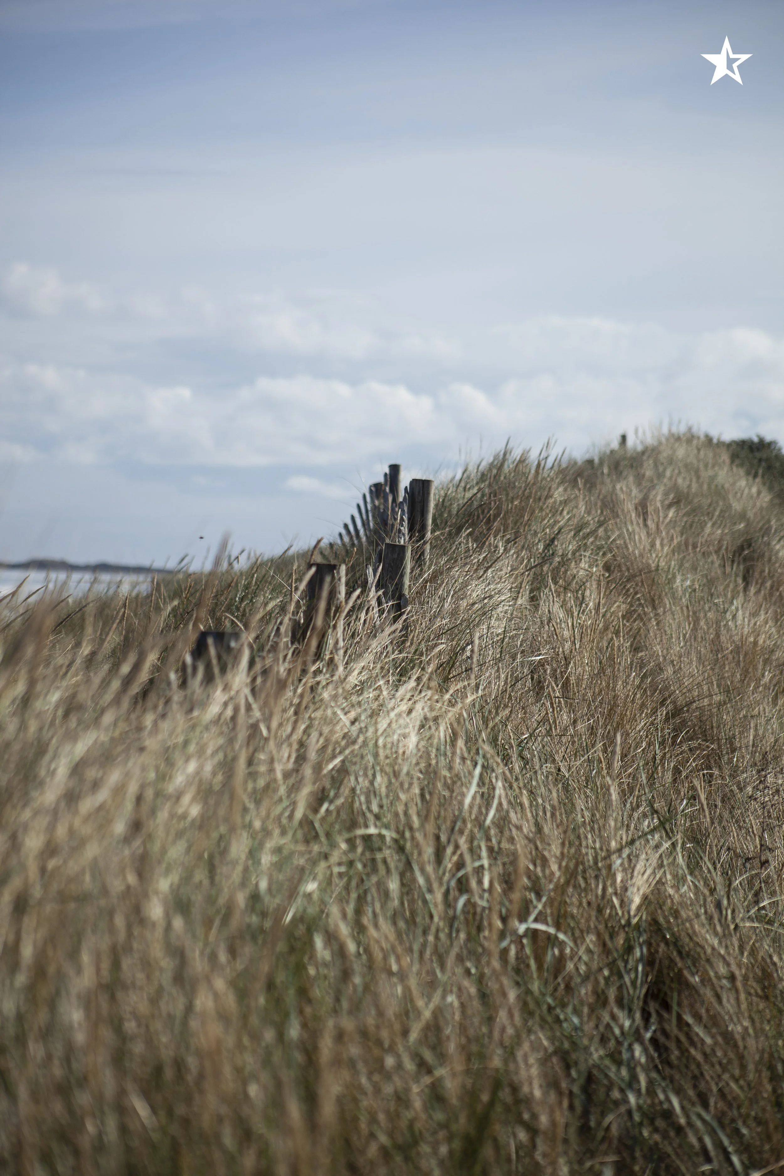 Sounder_Royal_Norfolk_IMAGE_The_Cult_of_Golf68.jpg