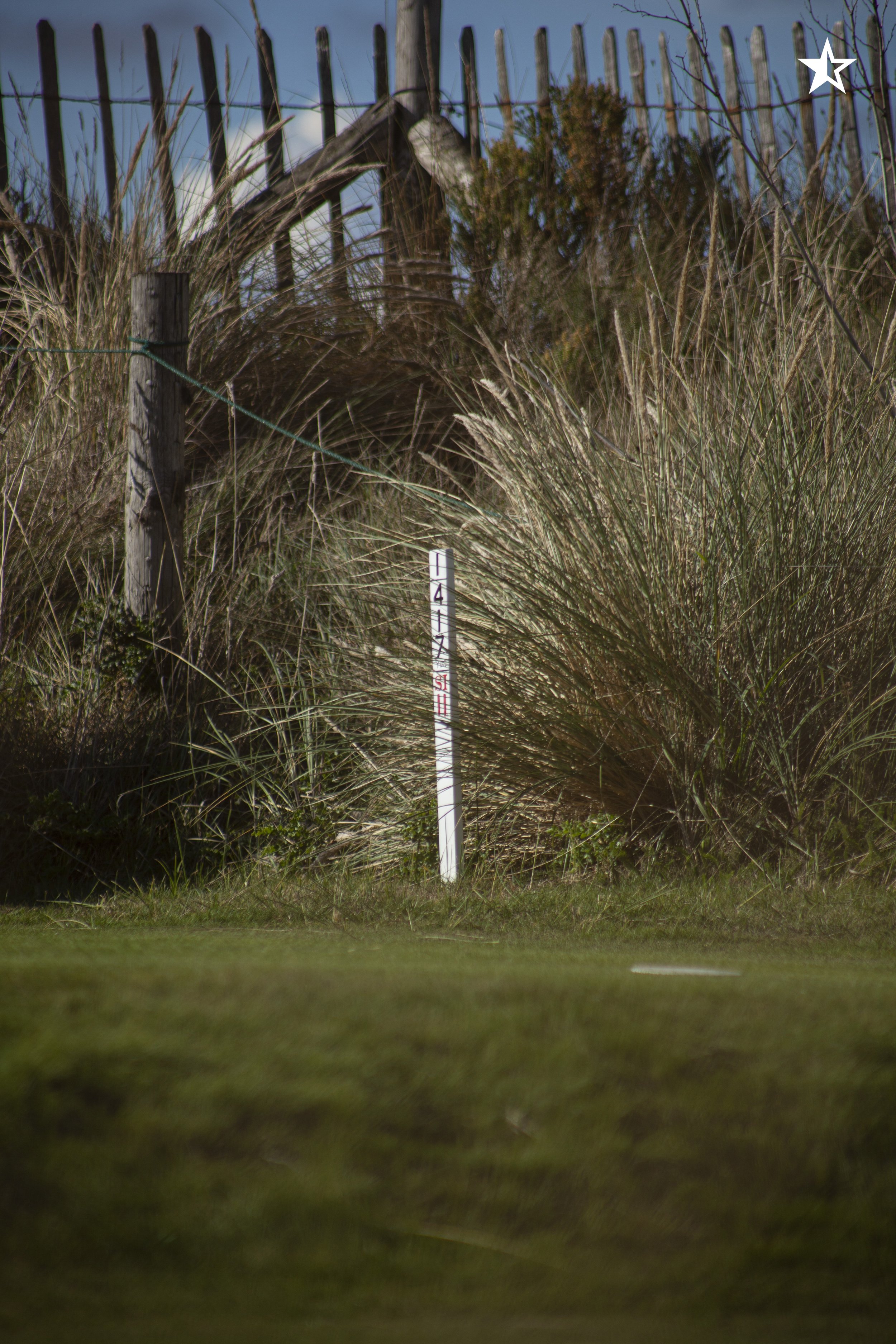 Sounder_Royal_Norfolk_IMAGE_The_Cult_of_Golf18.jpg