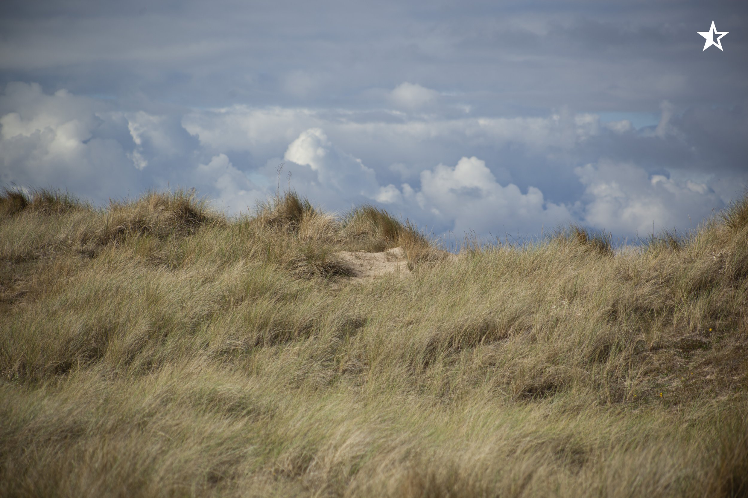 Sounder_Royal_Norfolk_IMAGE_The_Cult_of_Golf14.jpg