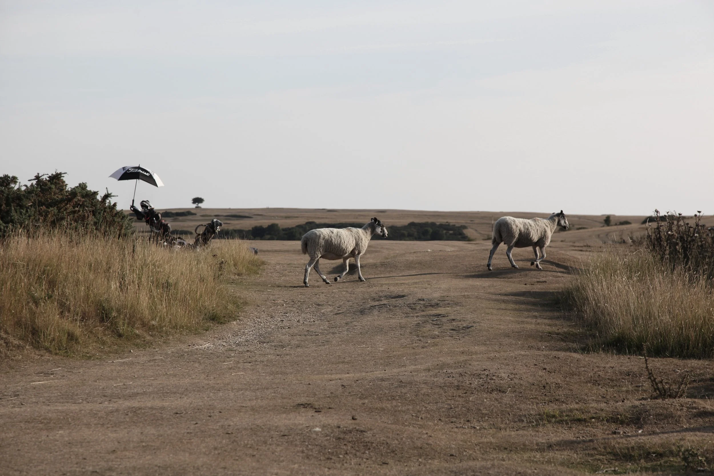 thecultofgolf_cleevehill125.JPG