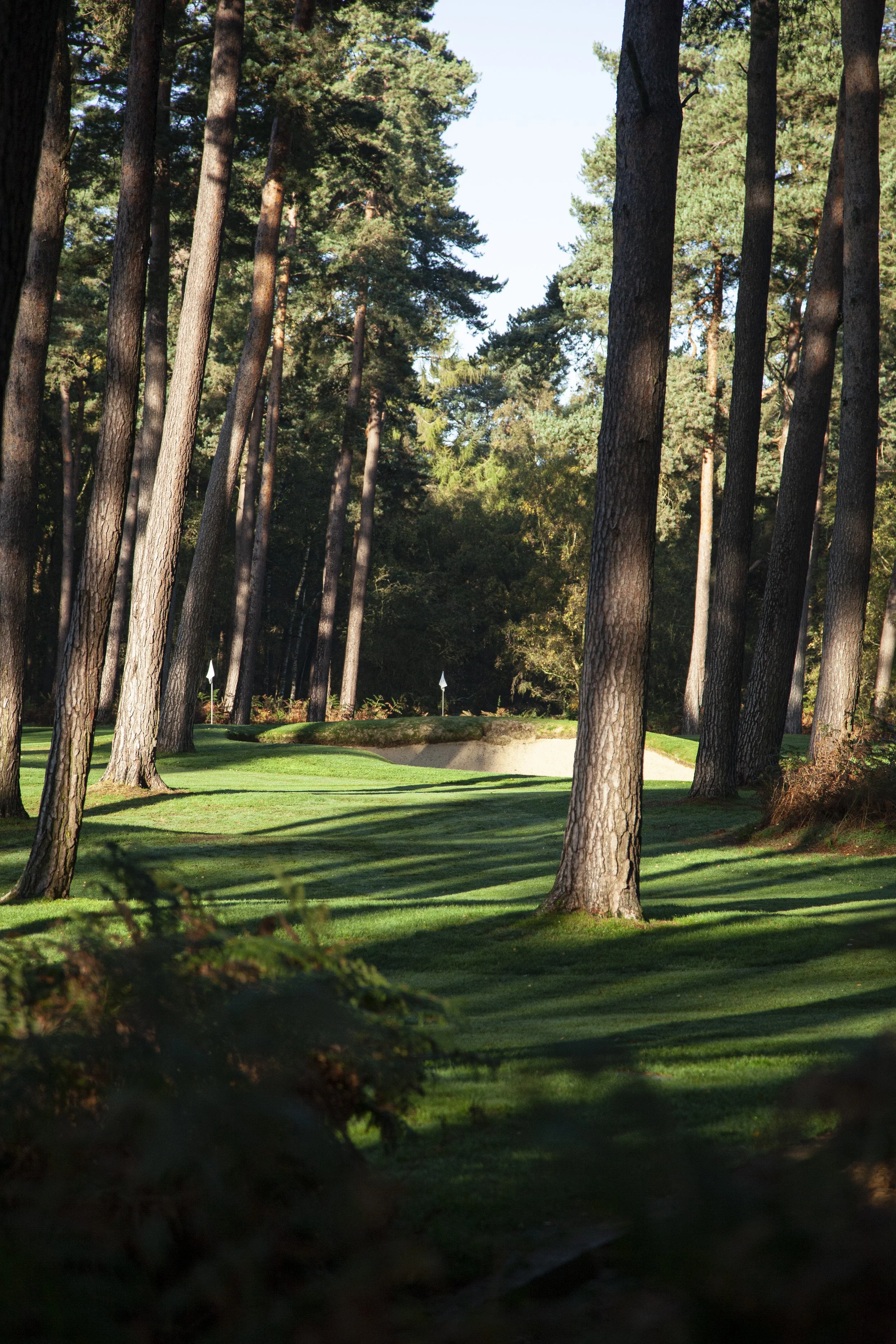 leerooney_woburngc_Nov22_zs.jpg