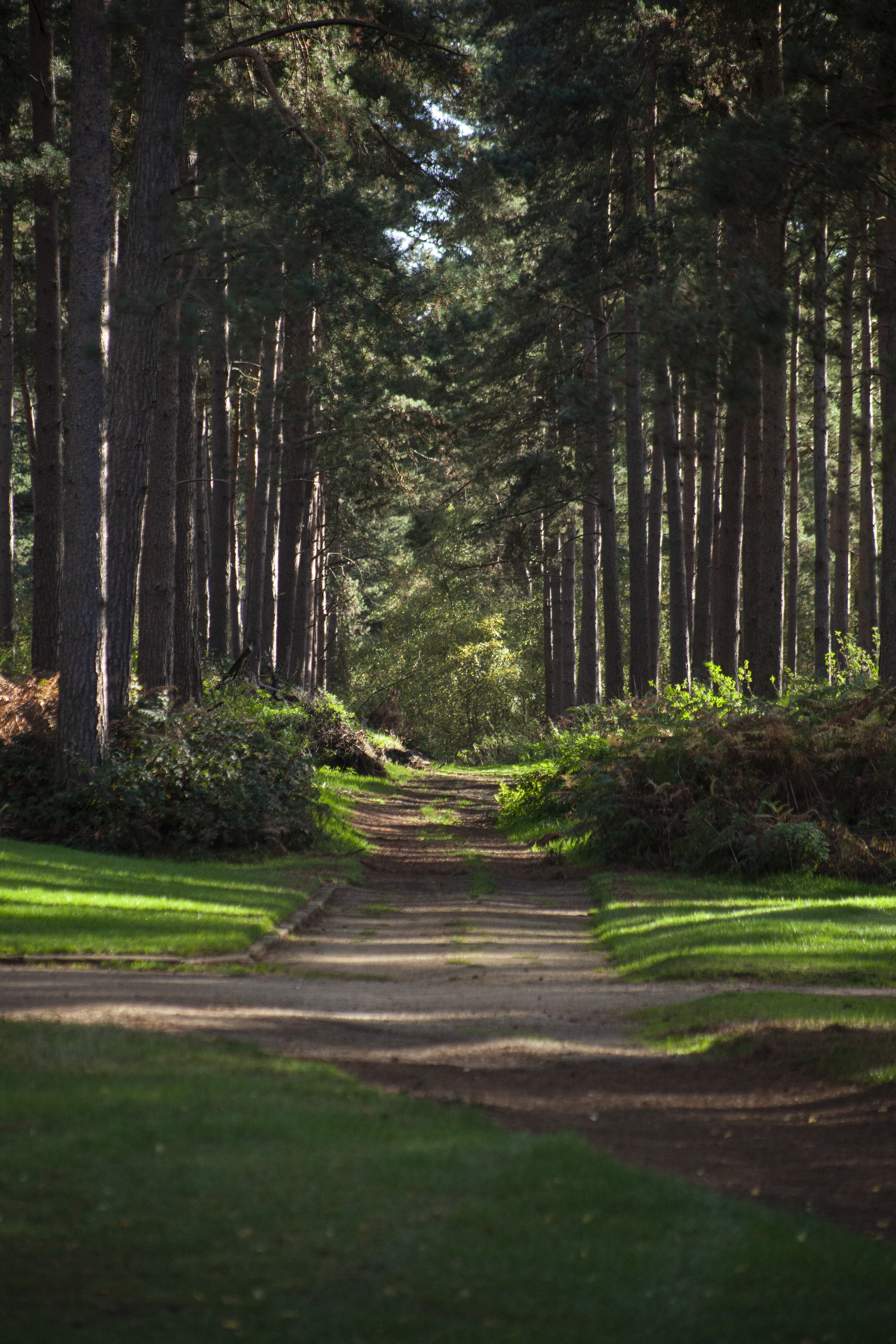 leerooney_woburngc_Nov22_2.jpg
