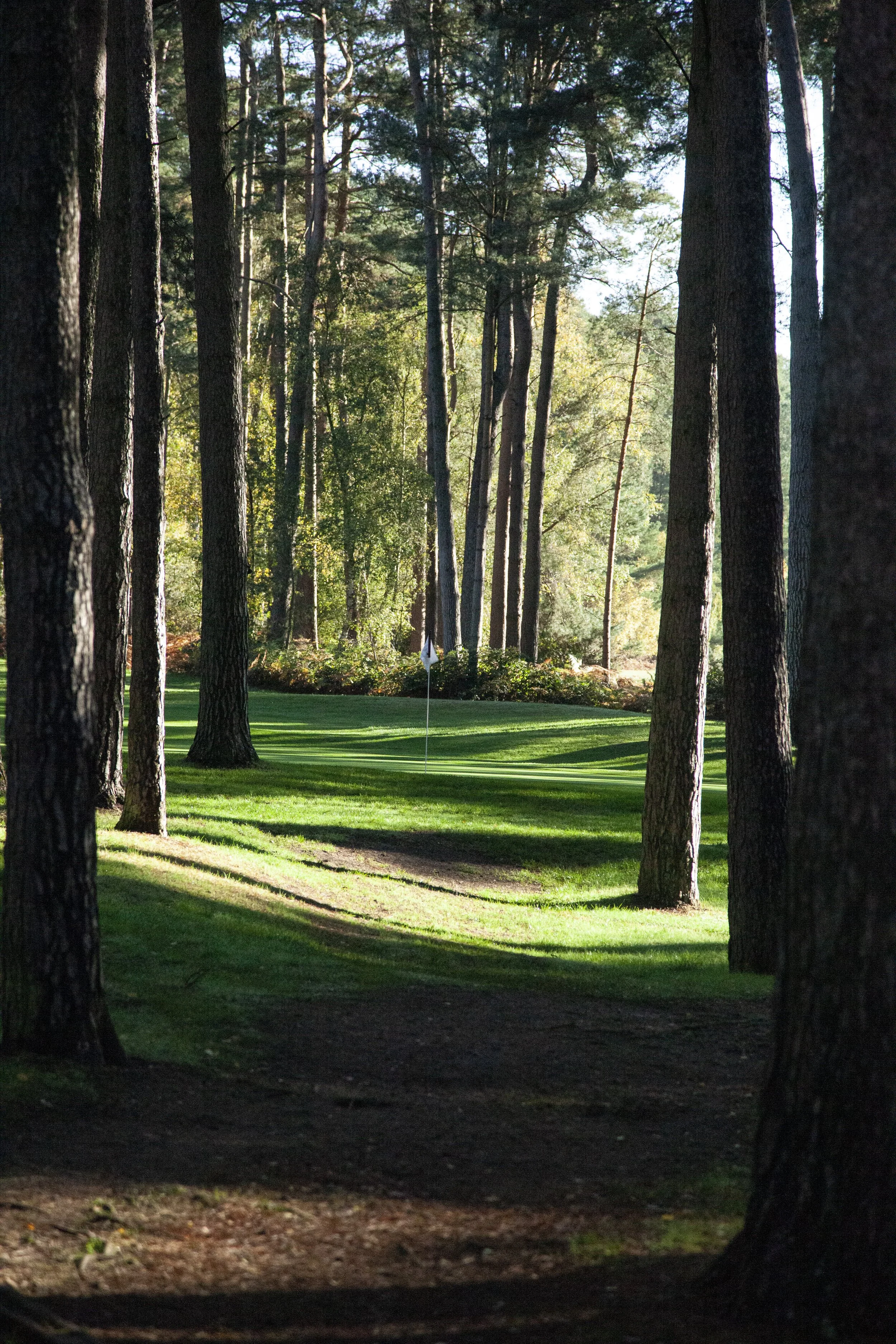 leerooney_woburngc_Nov22_t.jpg