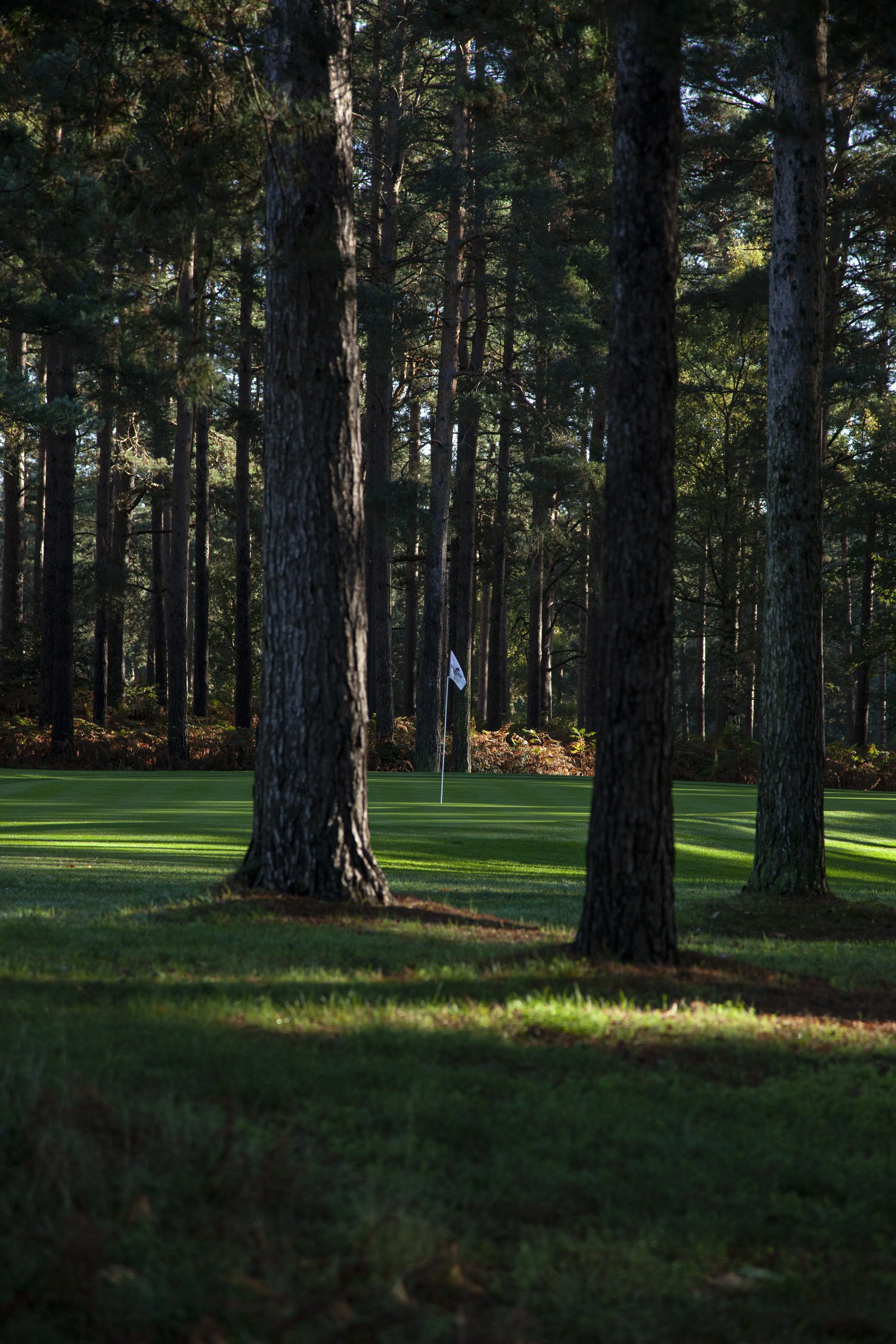 leerooney_woburngc_Nov22_zi.jpg
