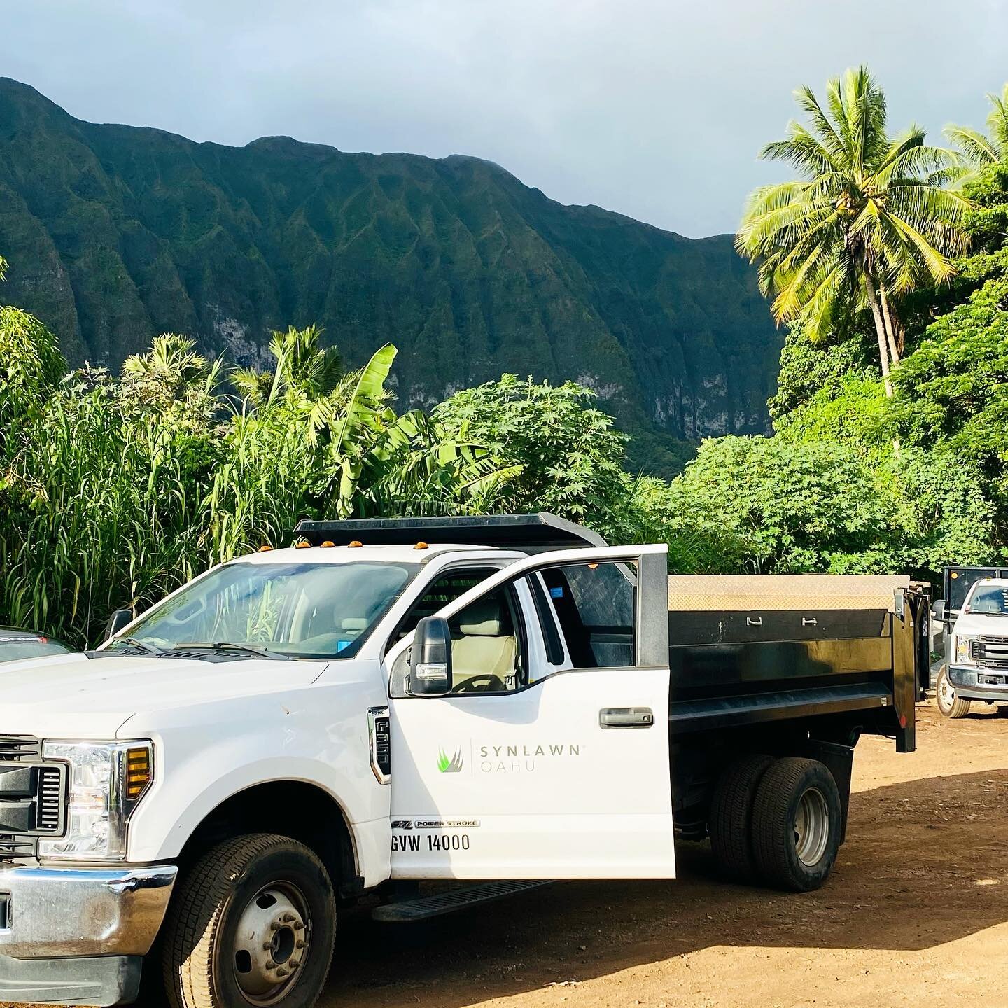 Morning views 💚 #5931864 #SYNlawnOahu#hawaiilandscaping #SyntheticTurf #ArtificialGrass #Turf #Grass #SynLawn #lifetimewarranty #biobasedproducts #savewater #savetime #getyourweekendsback #alohaeveryday