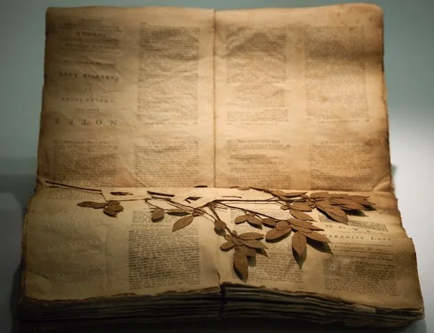 Mark Smith and Felicity Jones, .jpeg