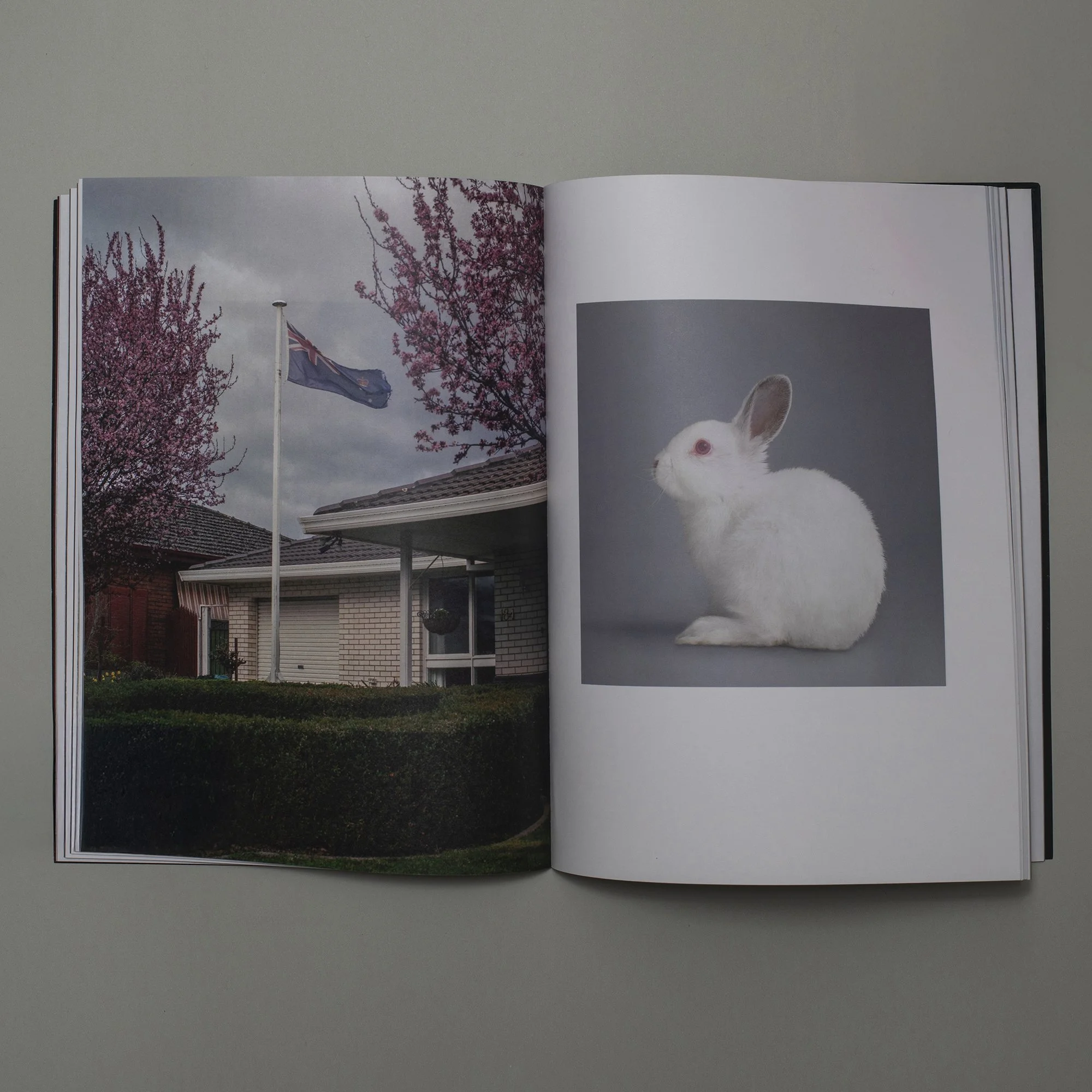  Erin Lee, from  The Crimson Thread  