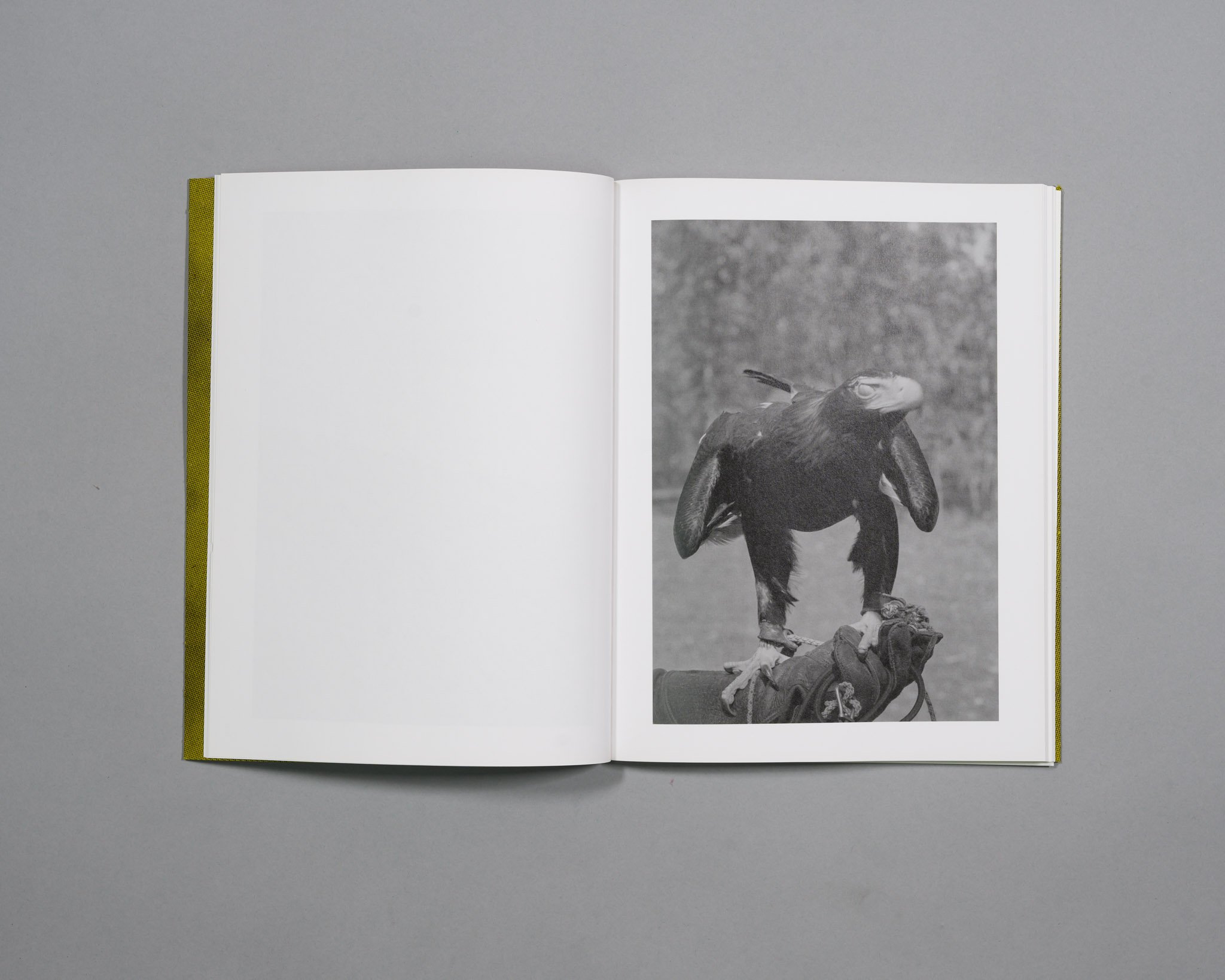  From The  Killing Sink , pub 2021. 