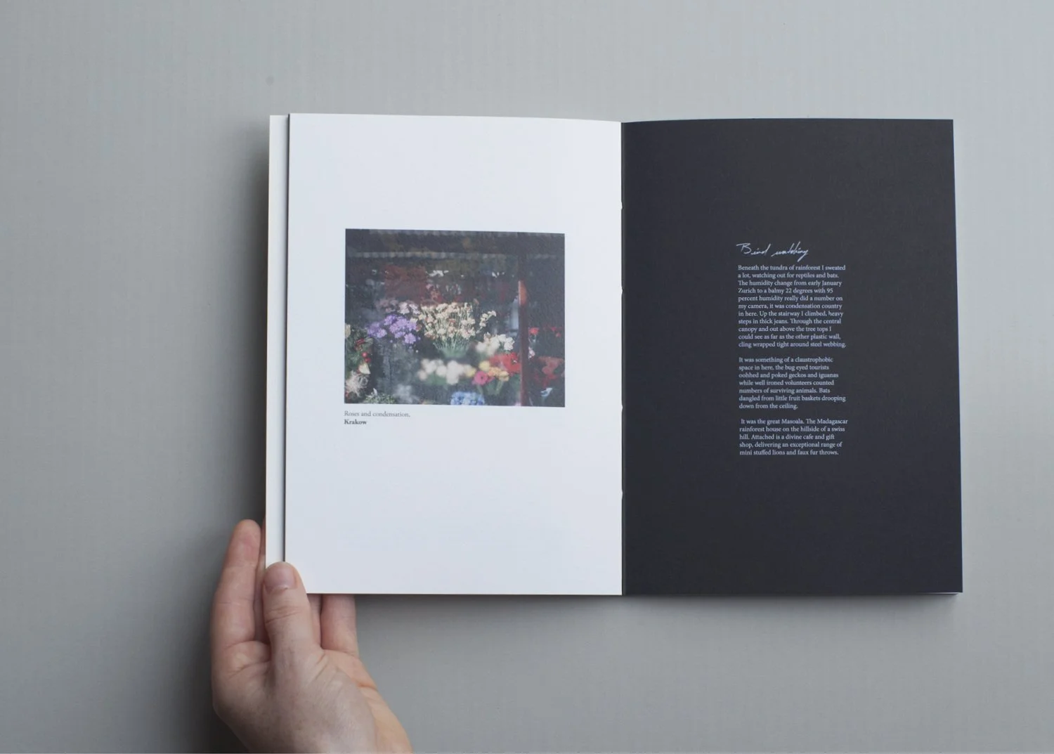  Solomon Mortimer, from  Solomon’s travels Volume Two  