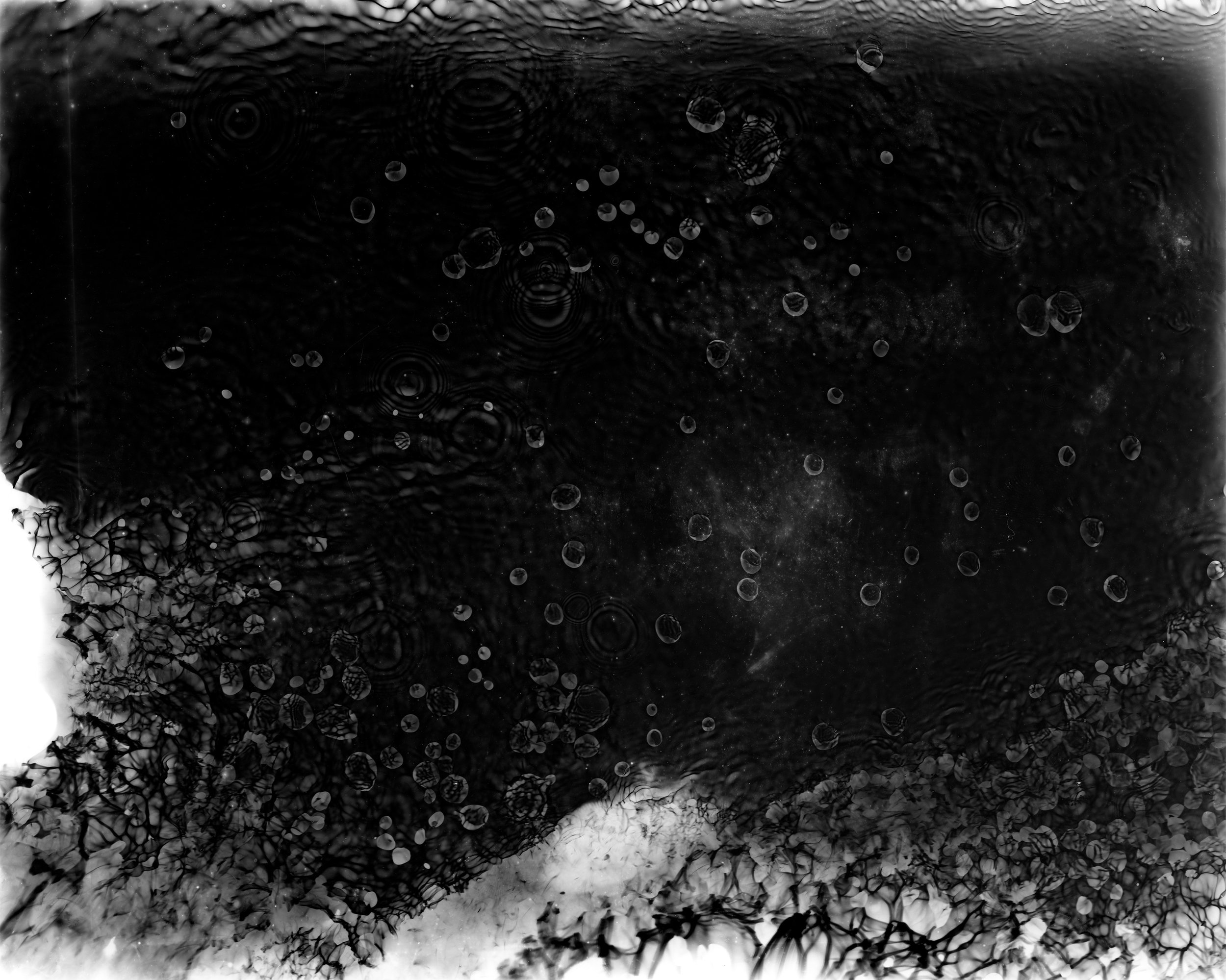  Ben Girven, photogram 