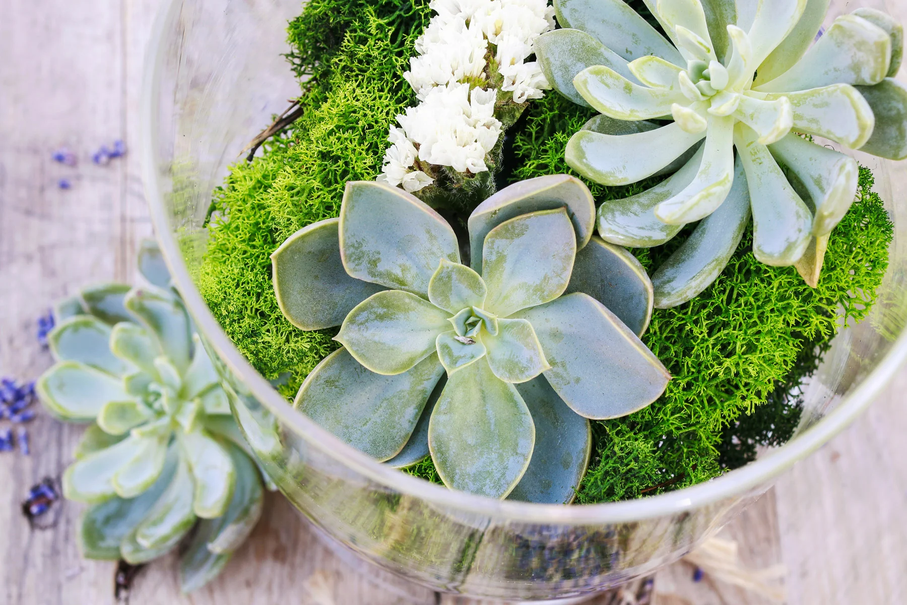 AdobeStock_123016579.jpg