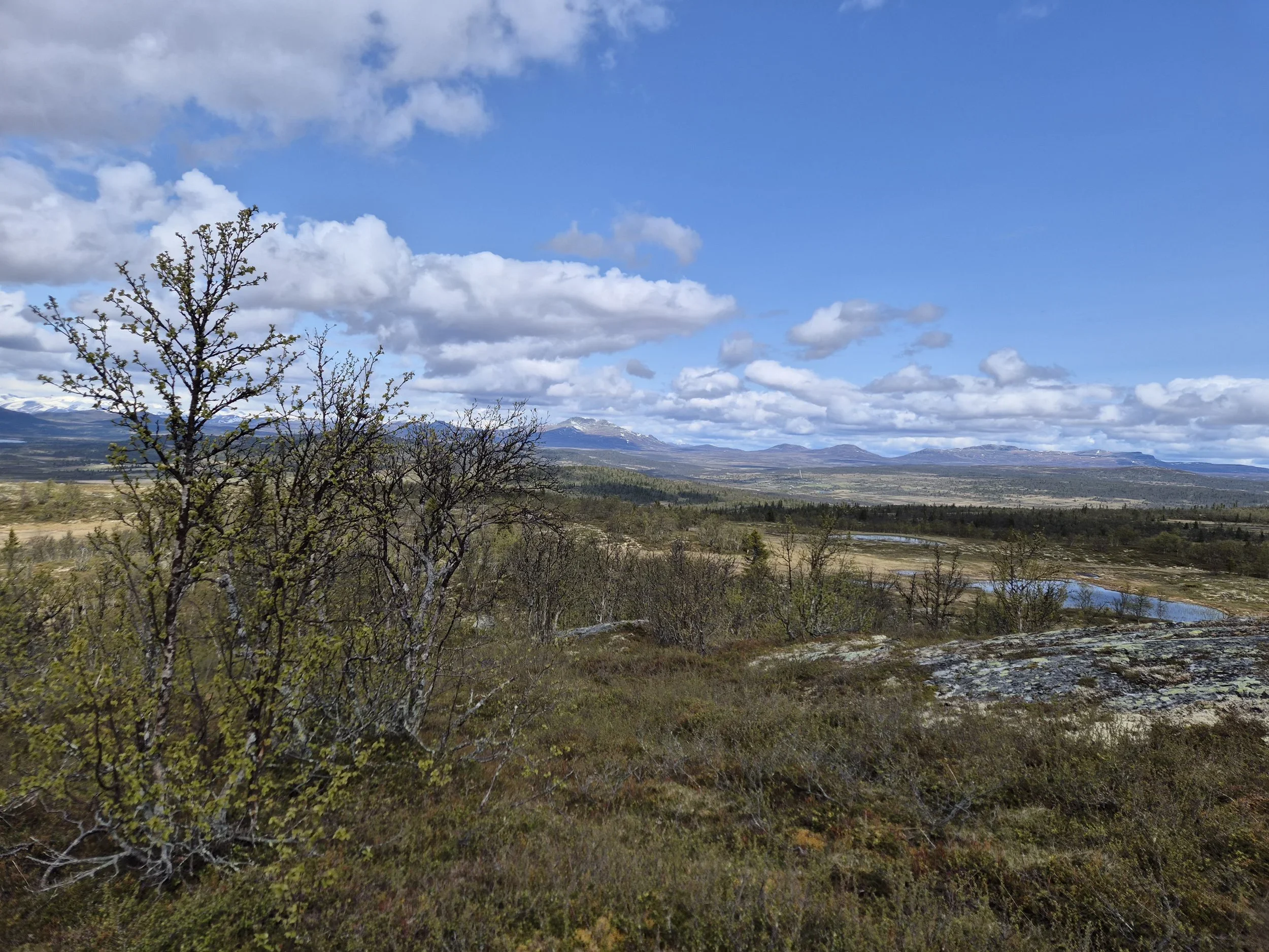 Trekning jaktkort 2025