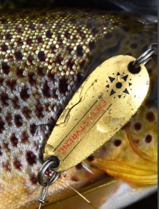 Revisjon av fiskeregler