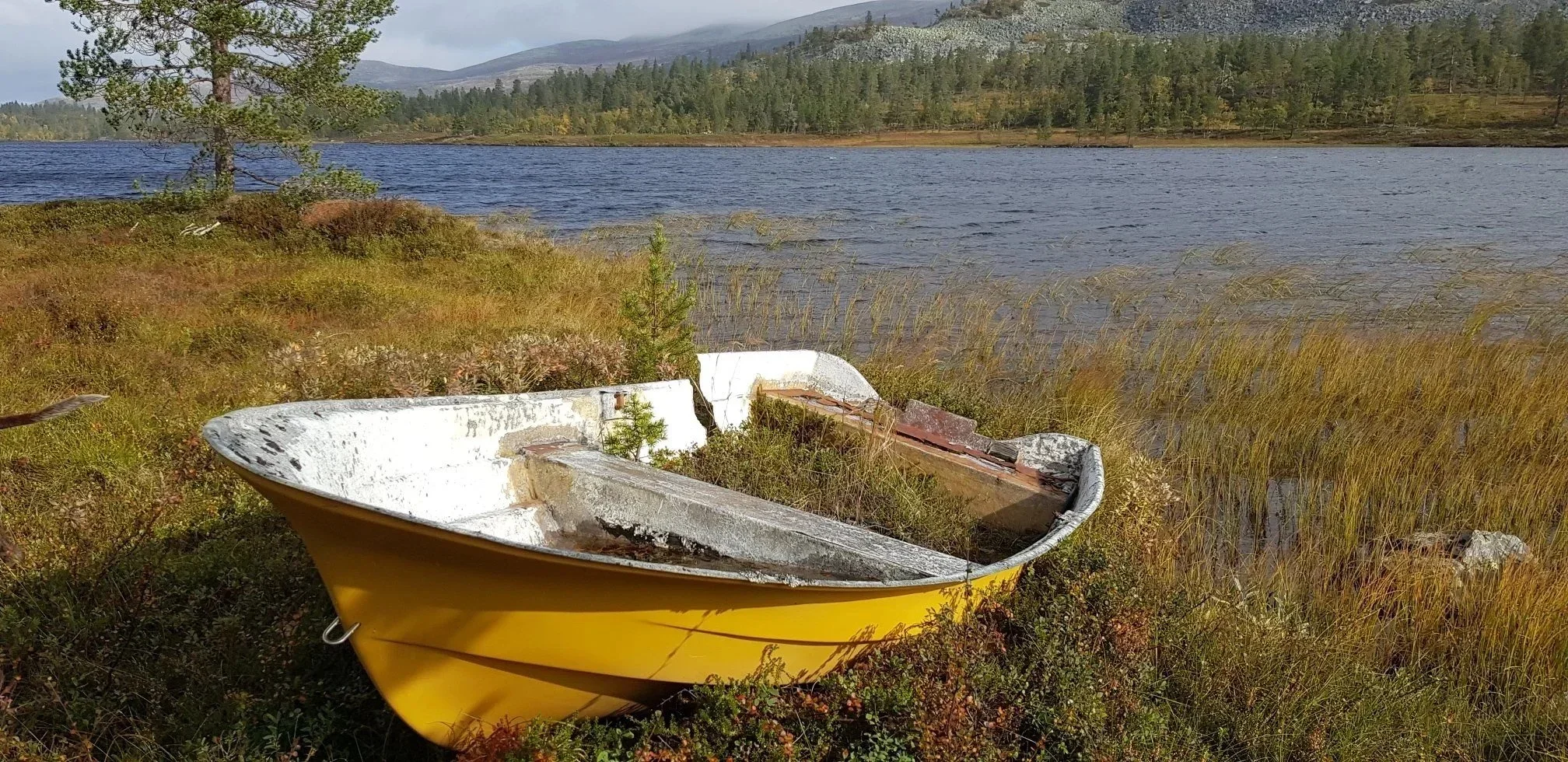 båtvrak+Båthussjøen.webp