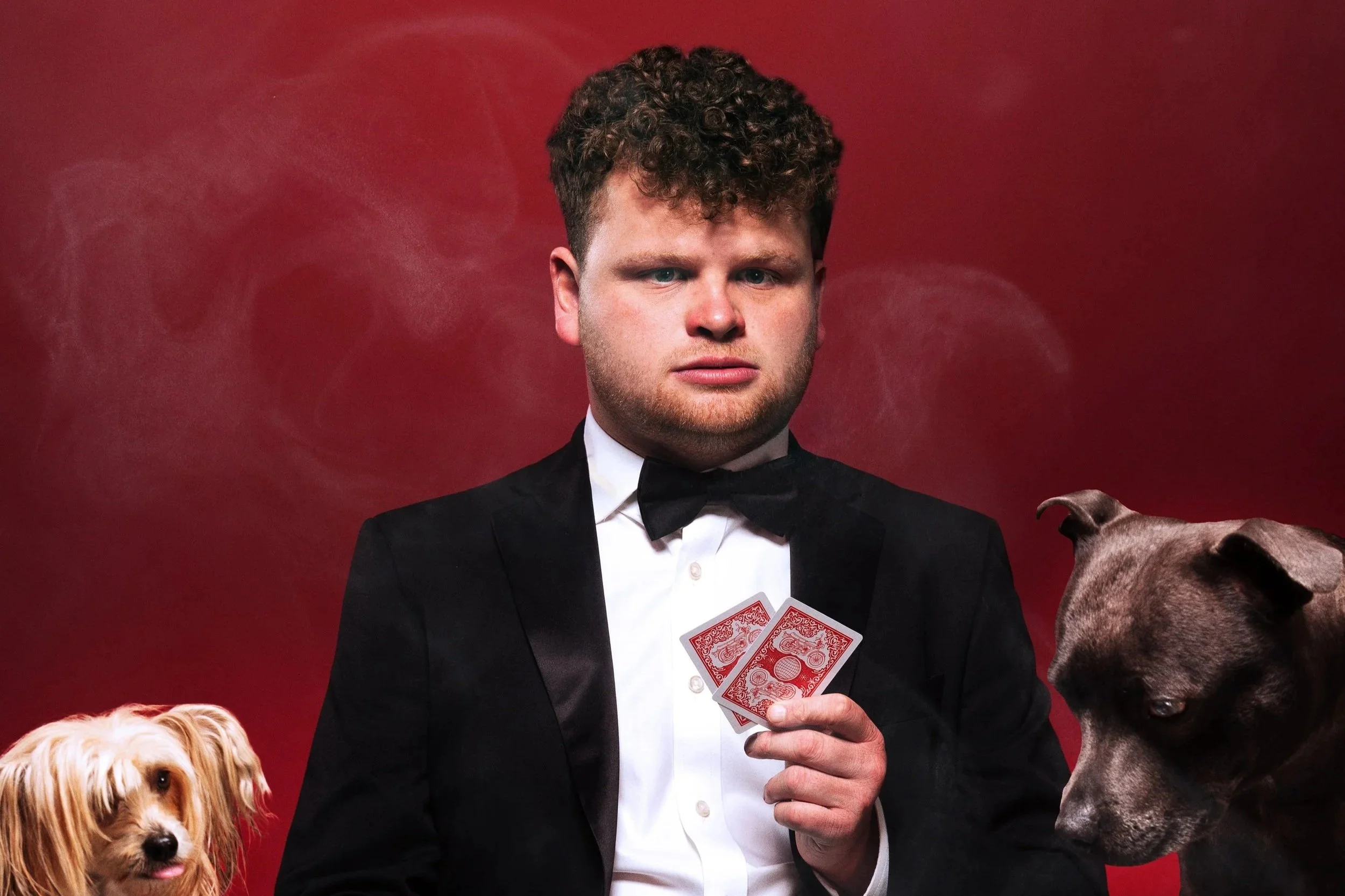 A Lovely Time | Dan Tiernan: All In