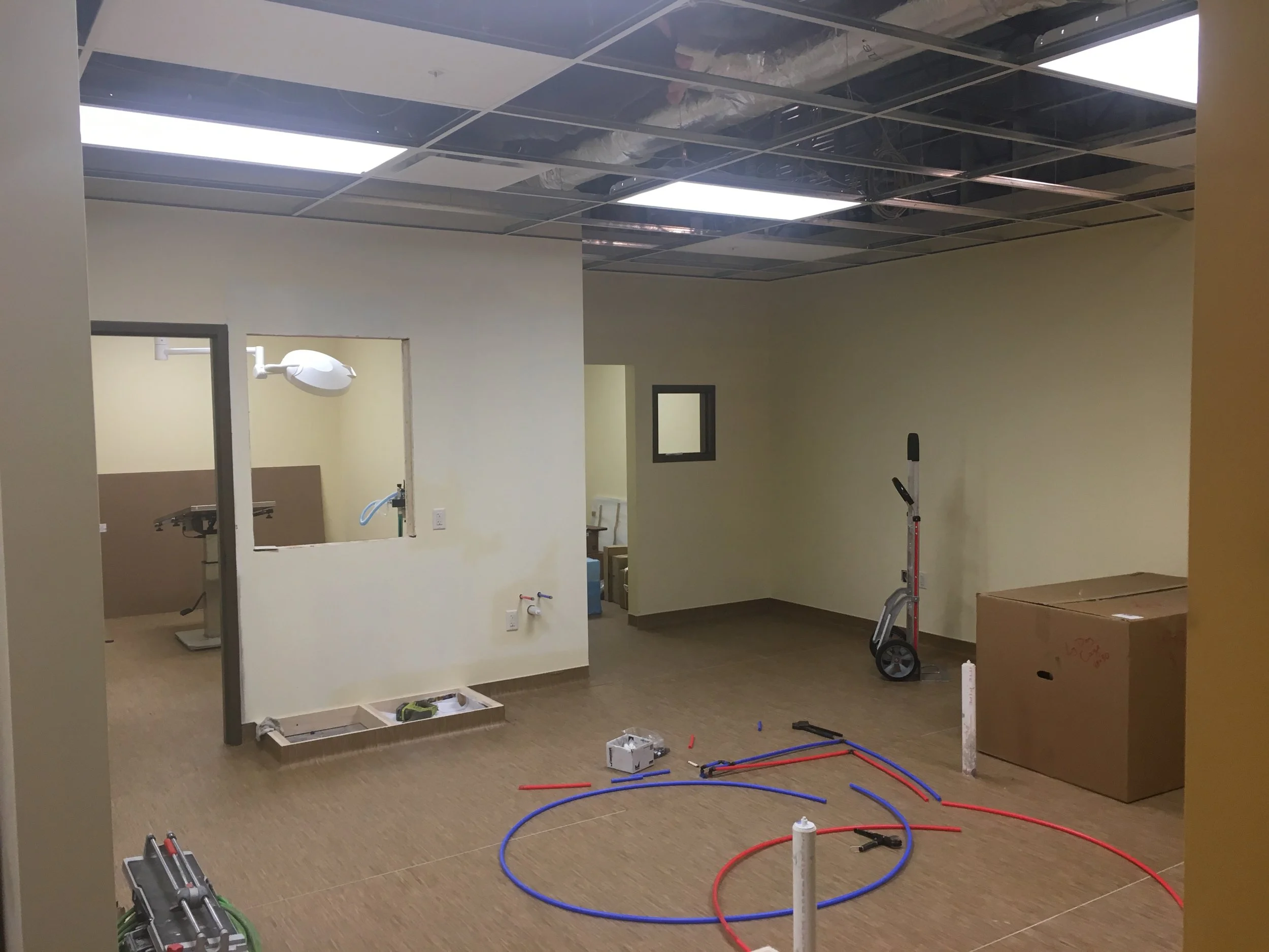 Pet Hospital in Victor, NY Victor Vet Care