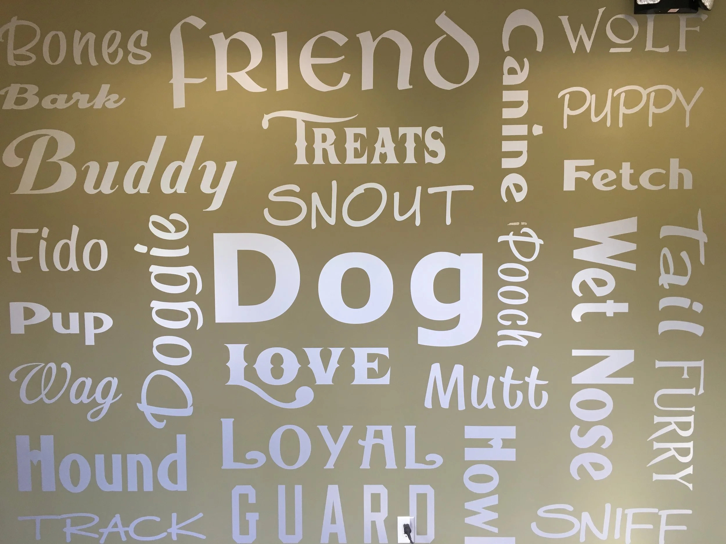 Pet Hospital in Victor, NY Victor Vet Care