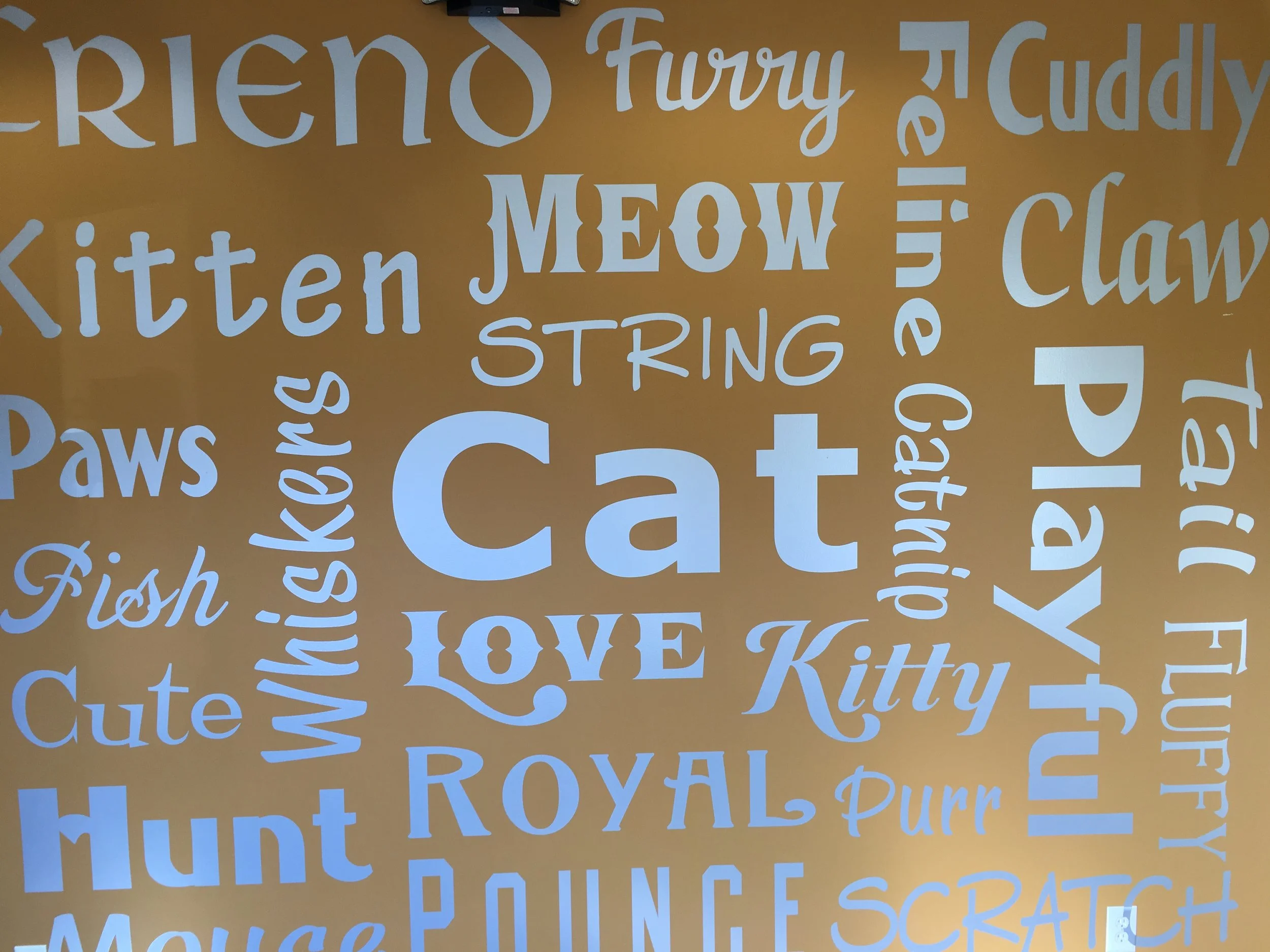 Pet Hospital in Victor, NY Victor Vet Care