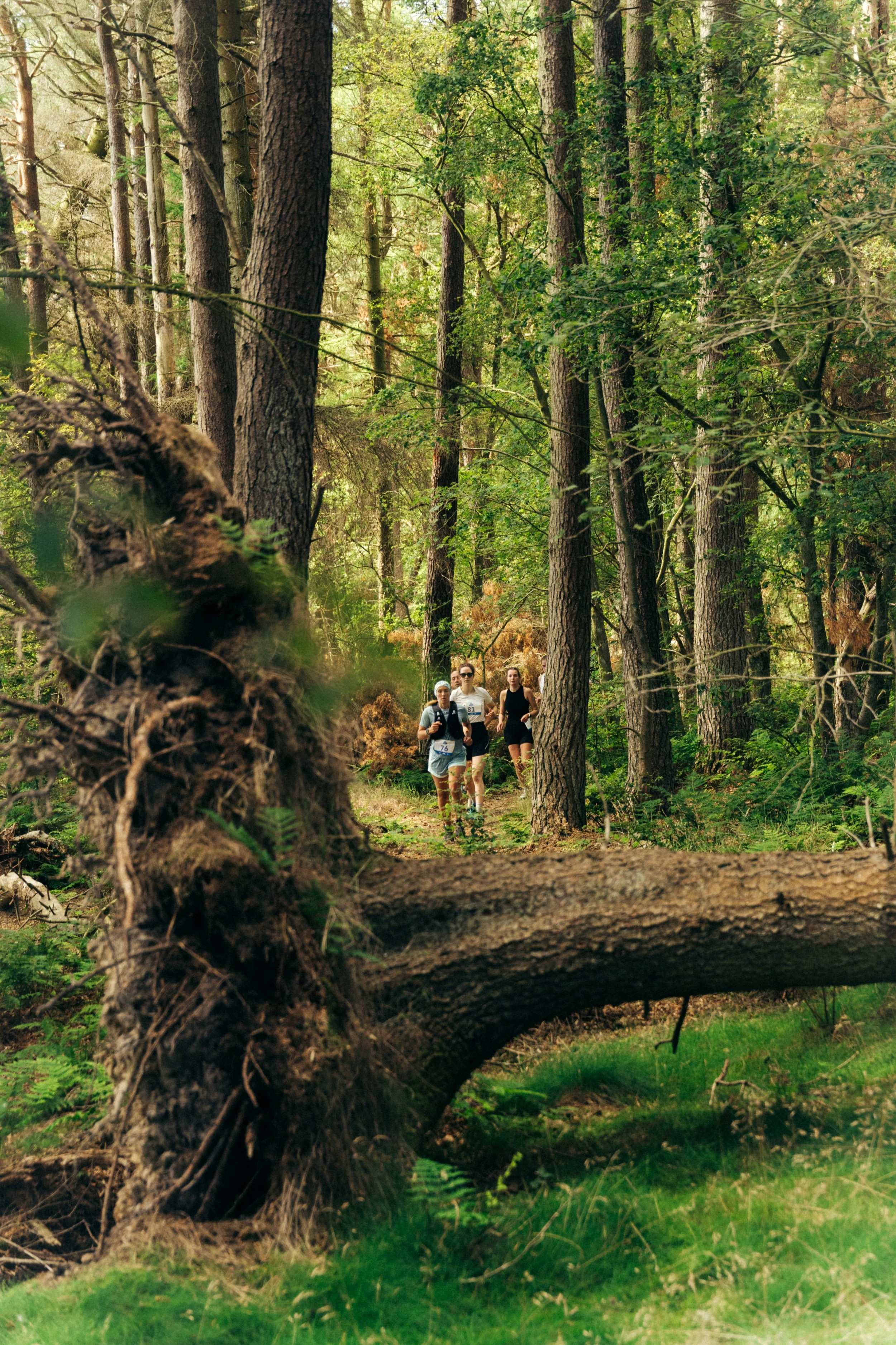 TrailSessions_HokaxIntervalxFreeCo_HighRes-72_MurrayOrr.jpg