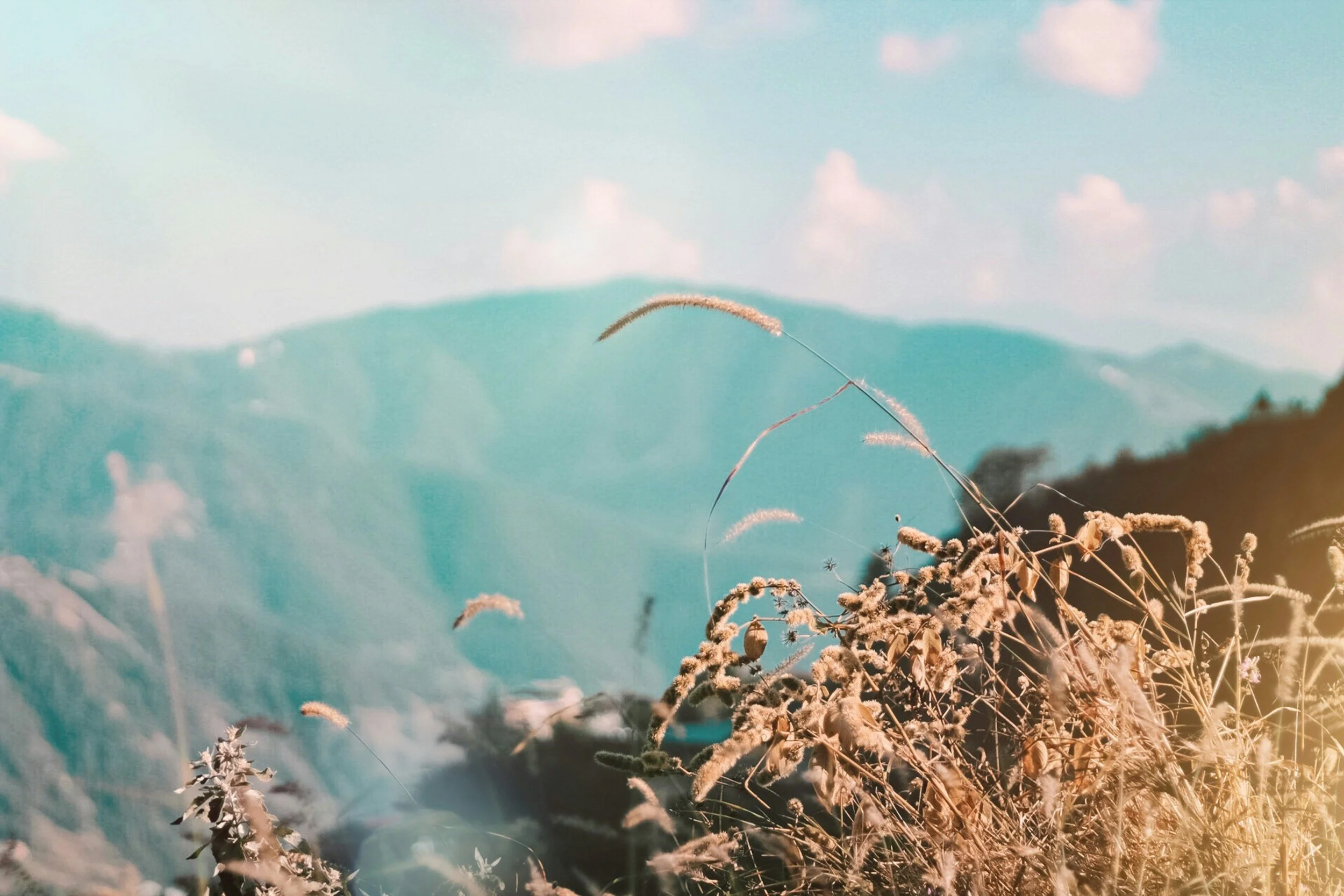 PTSD Treatment with Cognitive Processing Therapy (CPT): A Melbourne Psychology Clinic's Insights