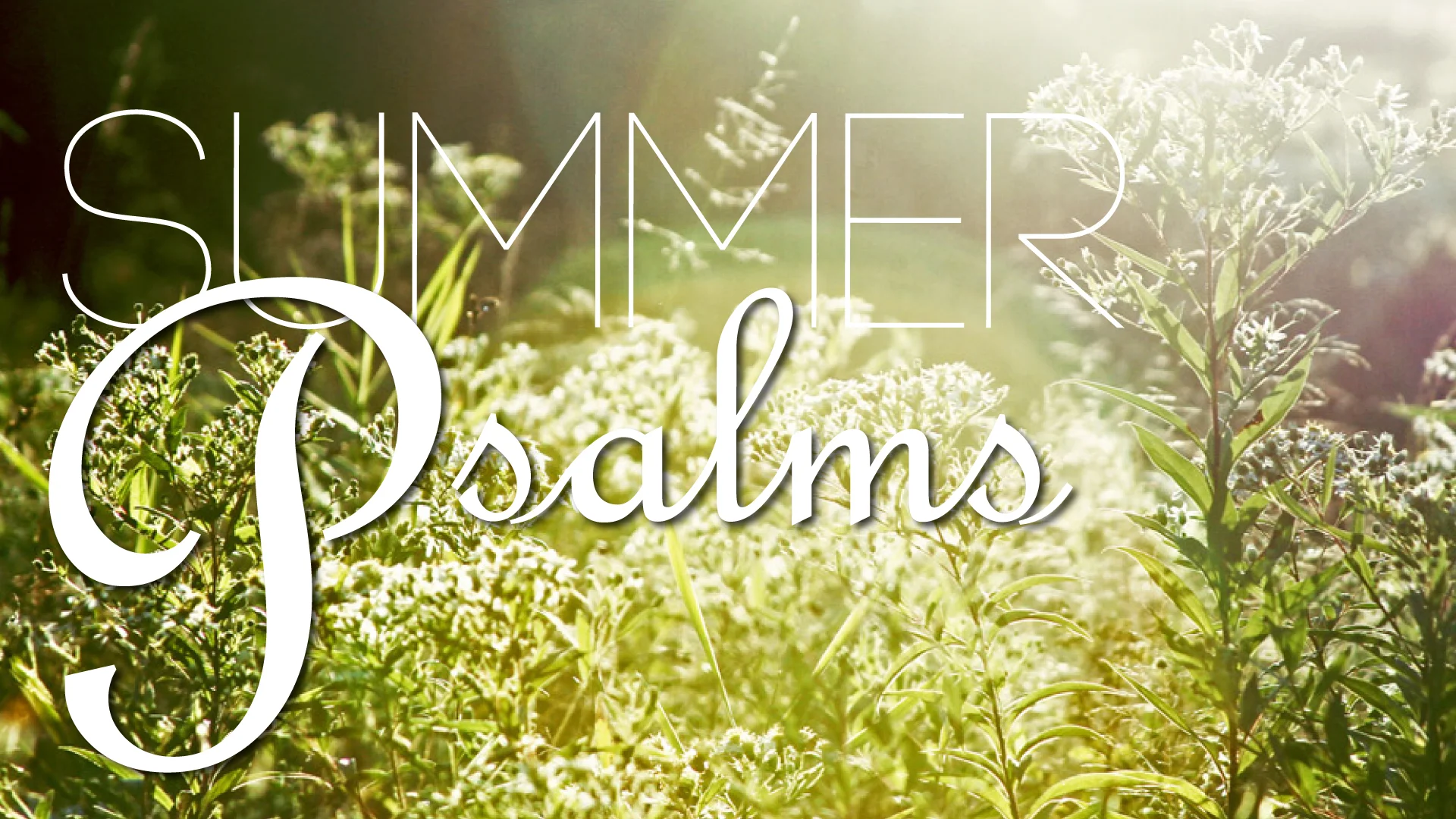Summer-Psalms.jpg