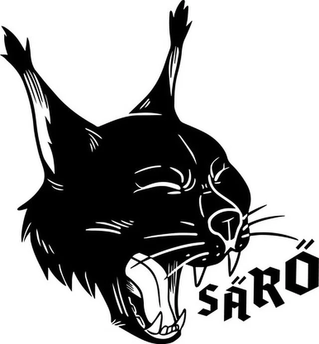 Bli med p&aring; utveksling til LOUDs s&oslash;sterleir @saromusiikki i Finland! Bli med som deltaker, bandl&aelig;rer eller tekniker p&aring; adult rock camp 15.-19. juli i Helsinki. Spill i band, lag l&aring;ter, eller f&aring; erfaring som leder o