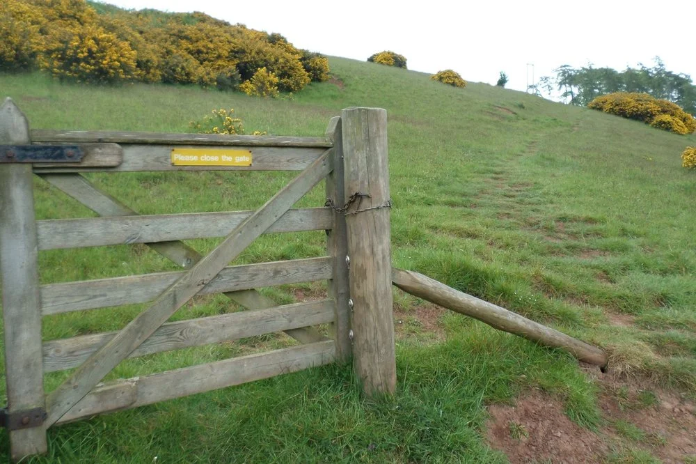 'Please close the gate' read the sign. Imagine what might happen if you didn't, wondered Gillian Nicholl.