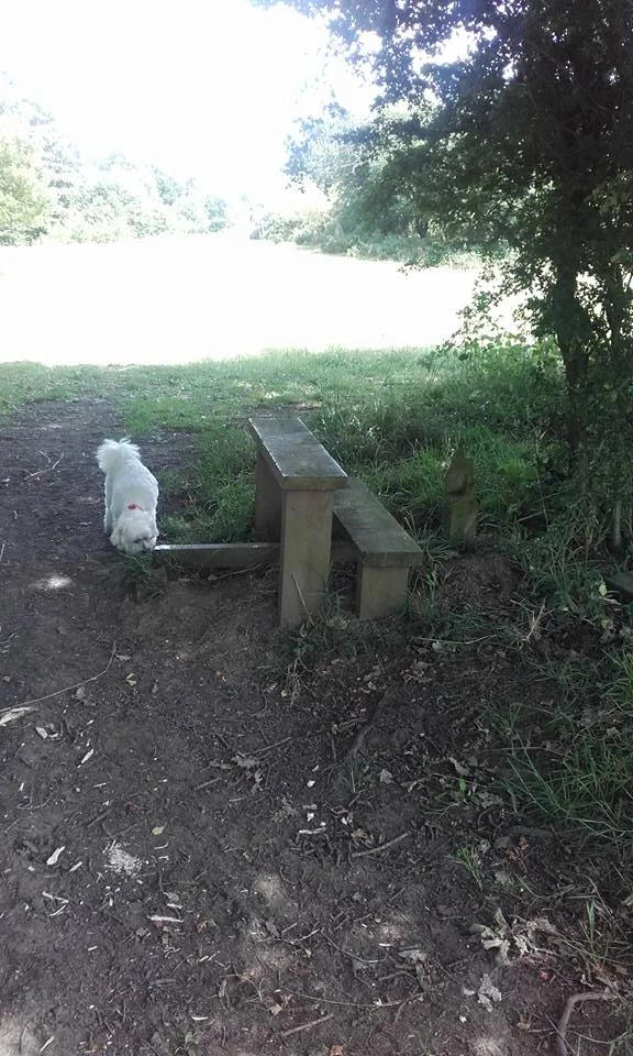 Pointless stiles: the poor landowner's folly. By Sarah Jones.