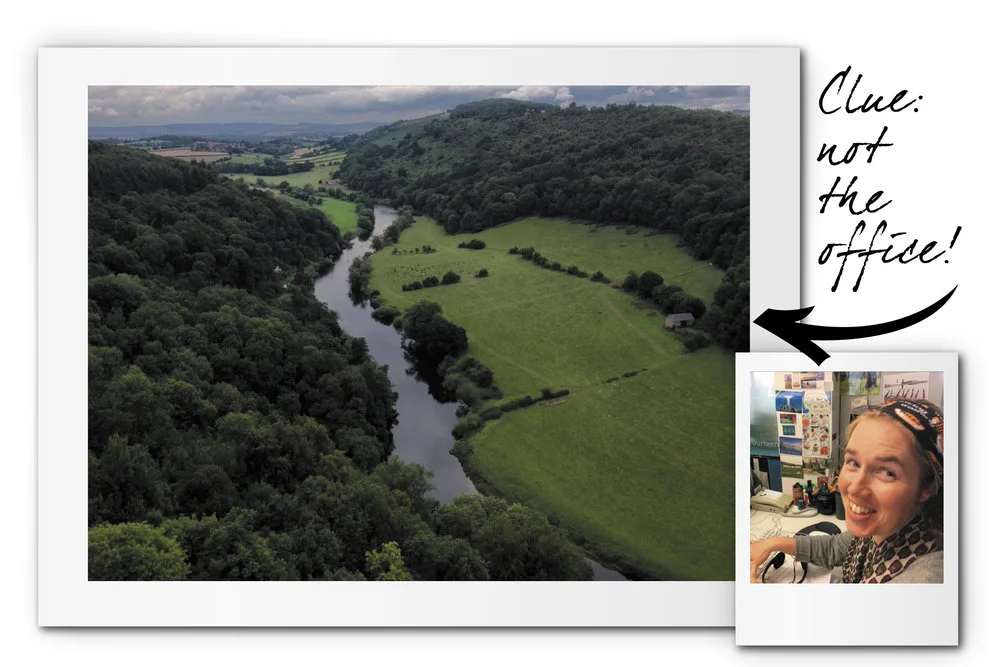 The answer's further down the newsletter...