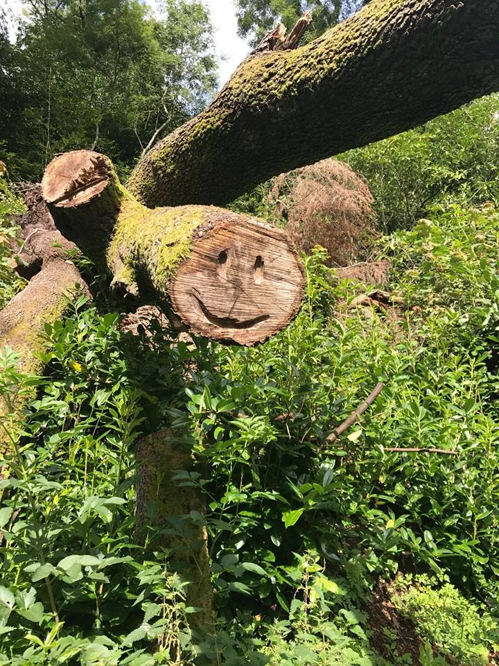 90e40-marcuseasterlingstumpy.jpg